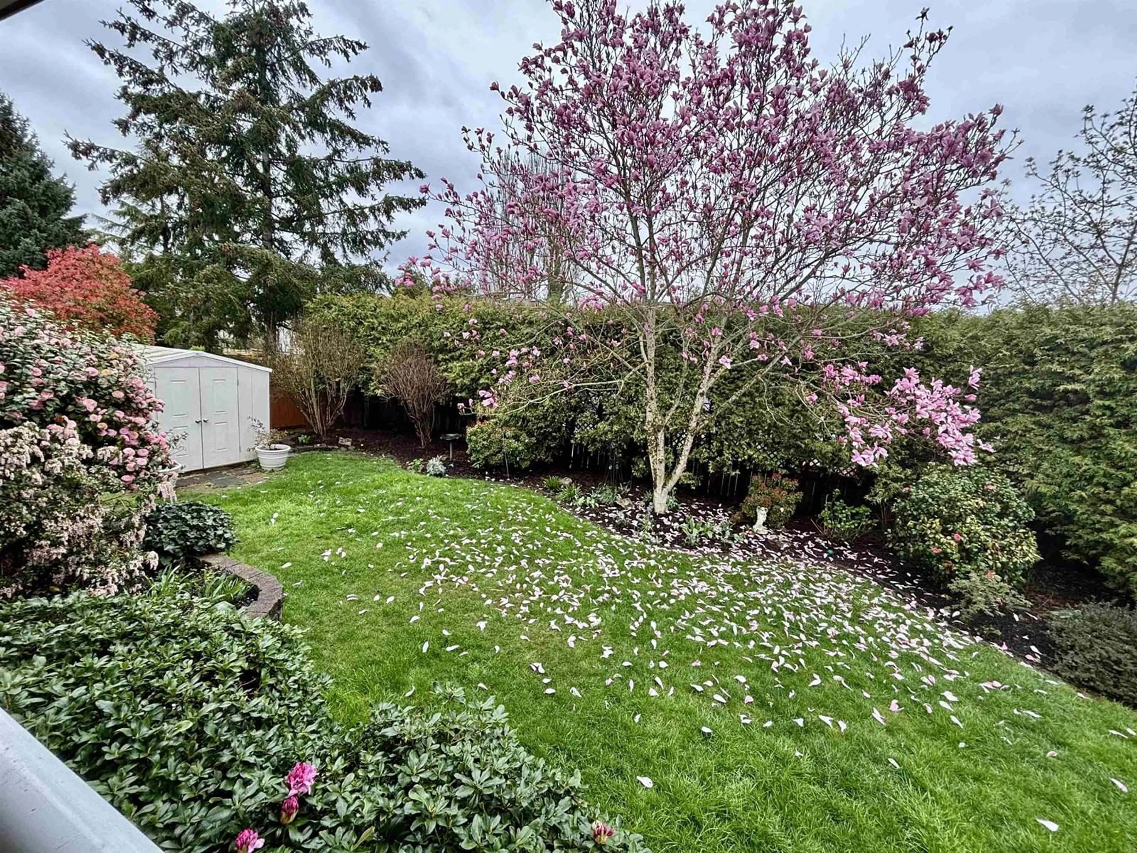 A pic from outside/outdoor area/front of a property/back of a property/a pic from drone, unknown for 6018 189A, Surrey British Columbia V3S8A3