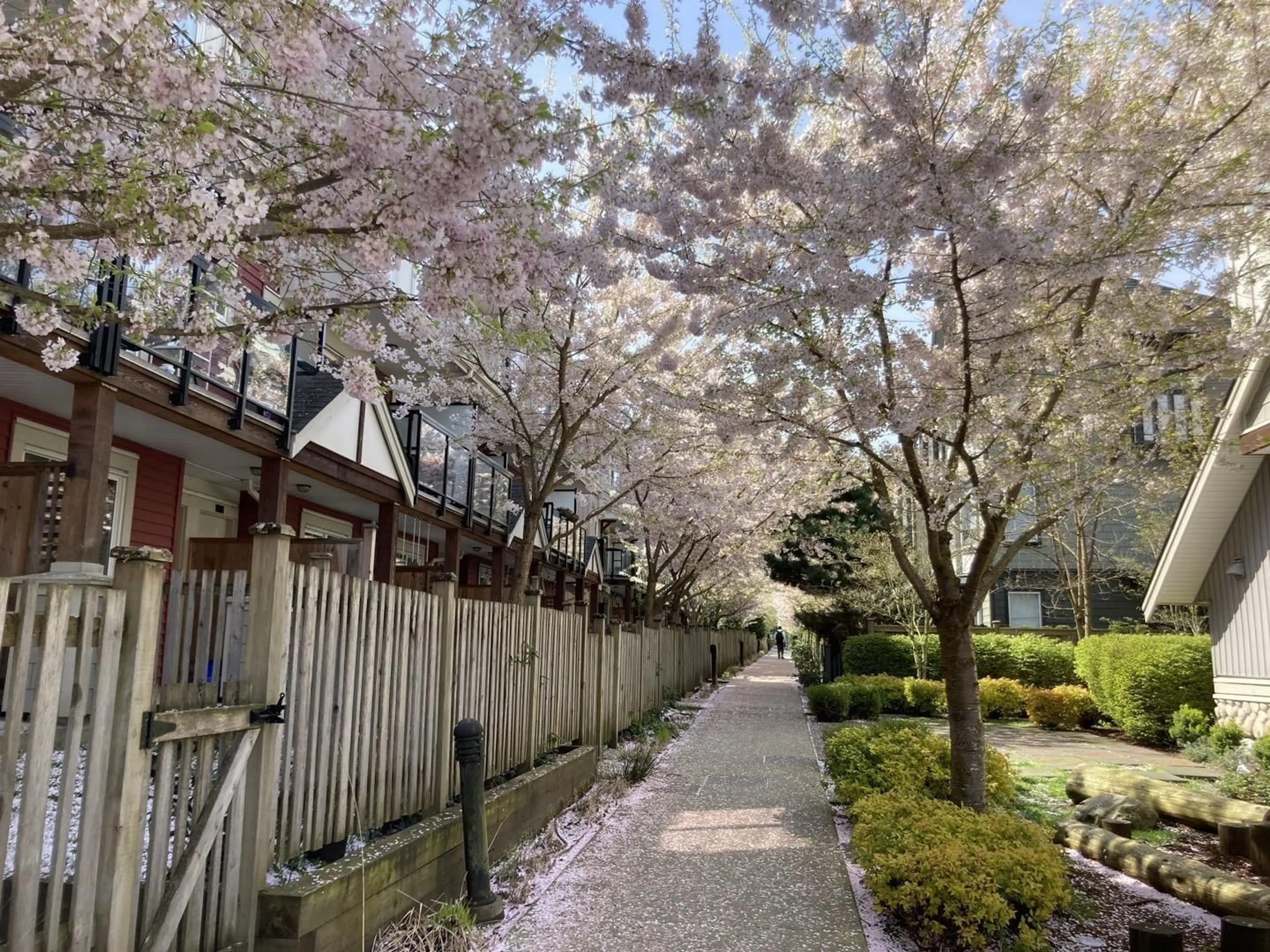 A pic from outside/outdoor area/front of a property/back of a property/a pic from drone, street for 29 - 20498 82, Langley British Columbia V2Y0V1