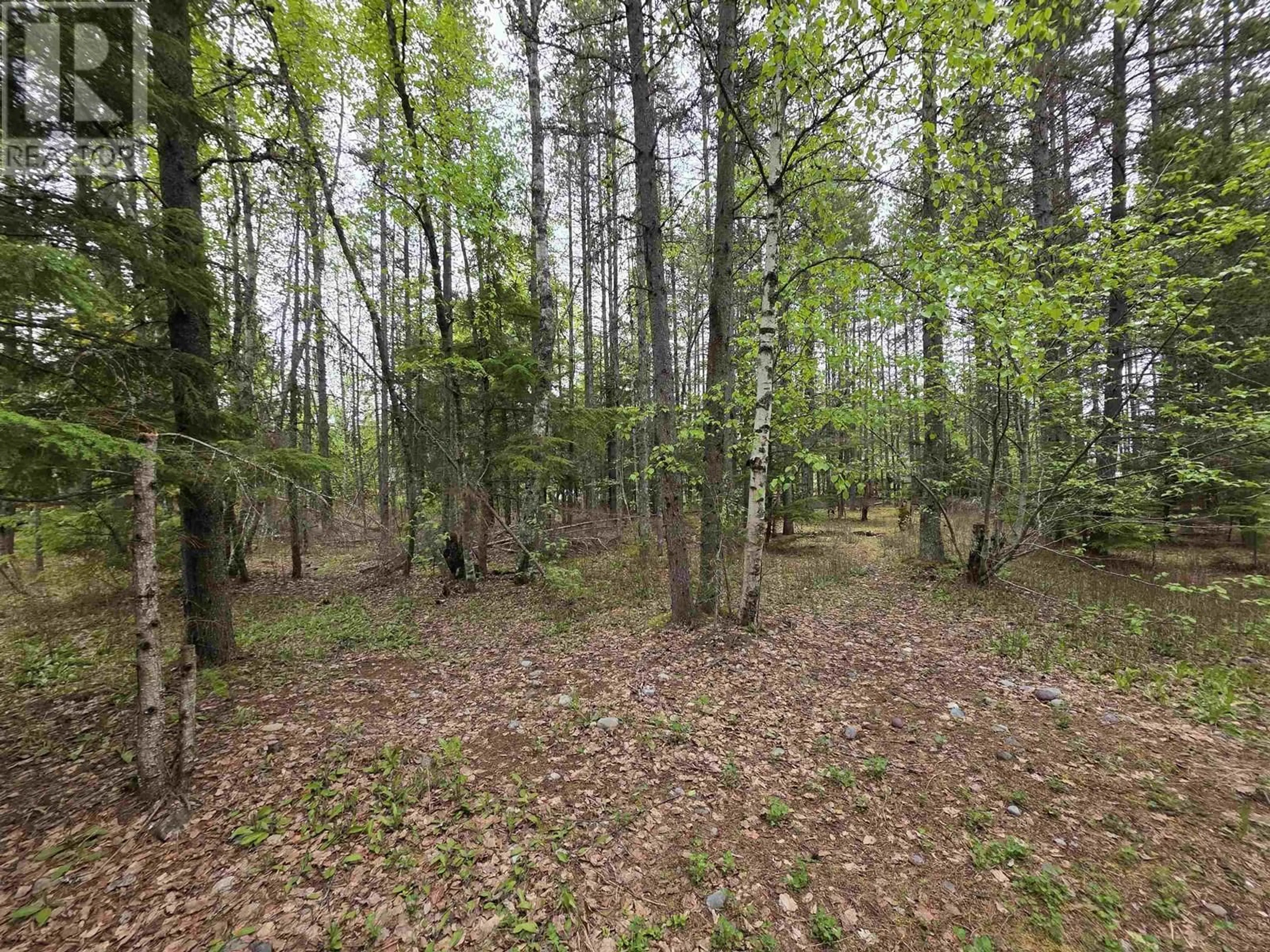 Unknown for 4546 LOWRIE AVENUE, Terrace British Columbia V8G5N1