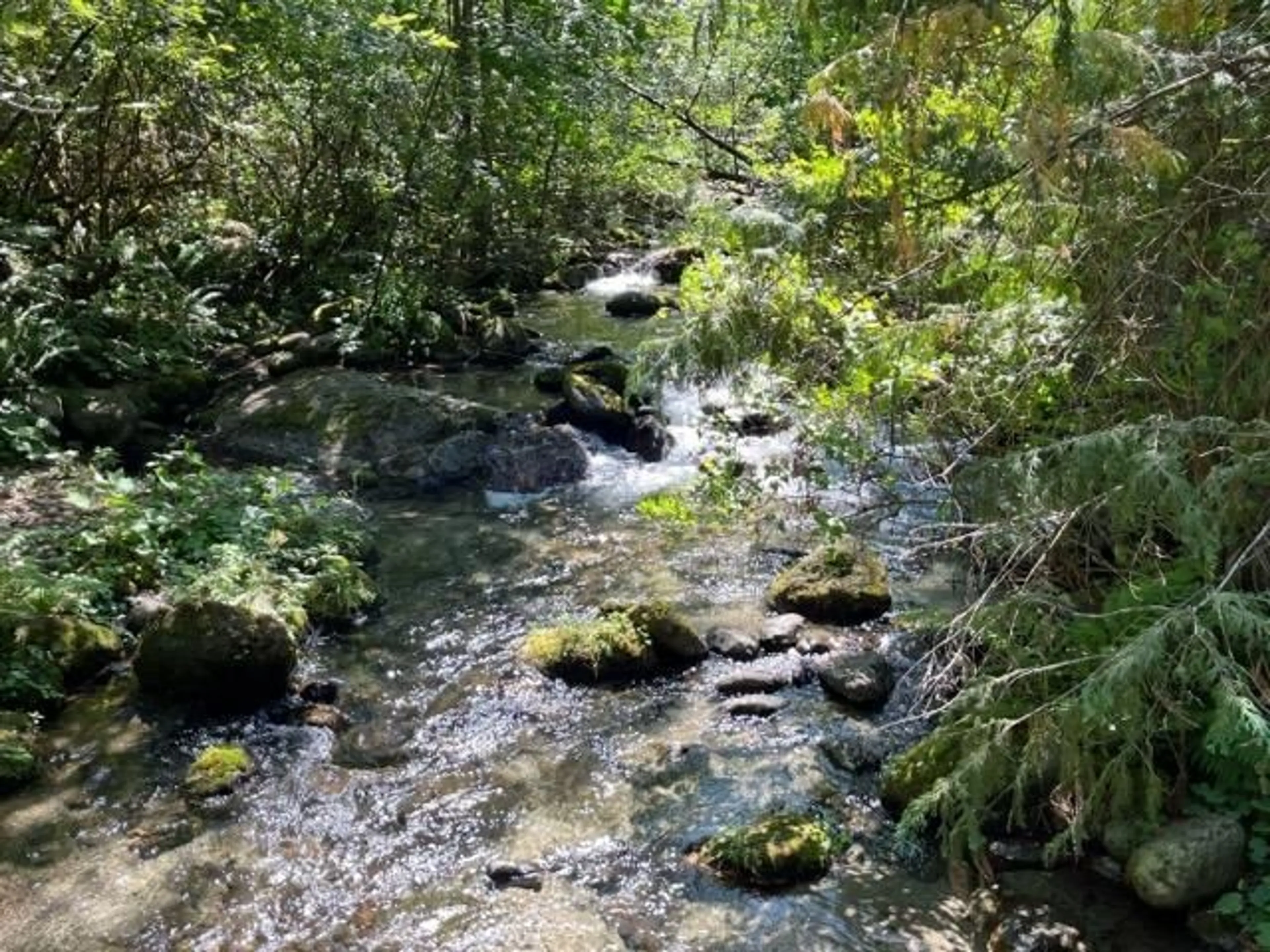 Blurry image for 19 - 19743 FOSTER ROAD, Hope British Columbia V0X1L2