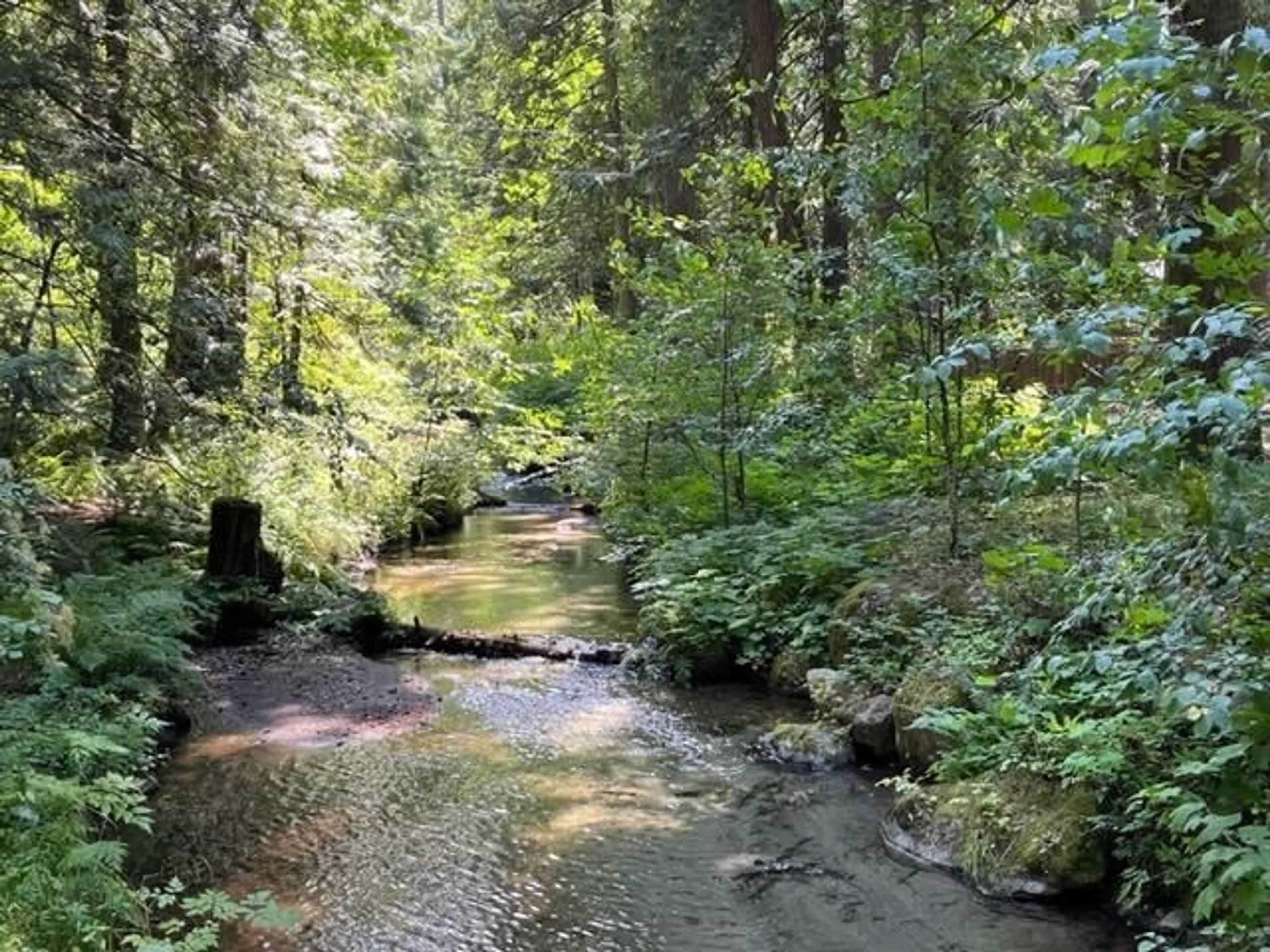 Unknown for 18 - 19743 FOSTER ROAD, Hope British Columbia V0X1L2