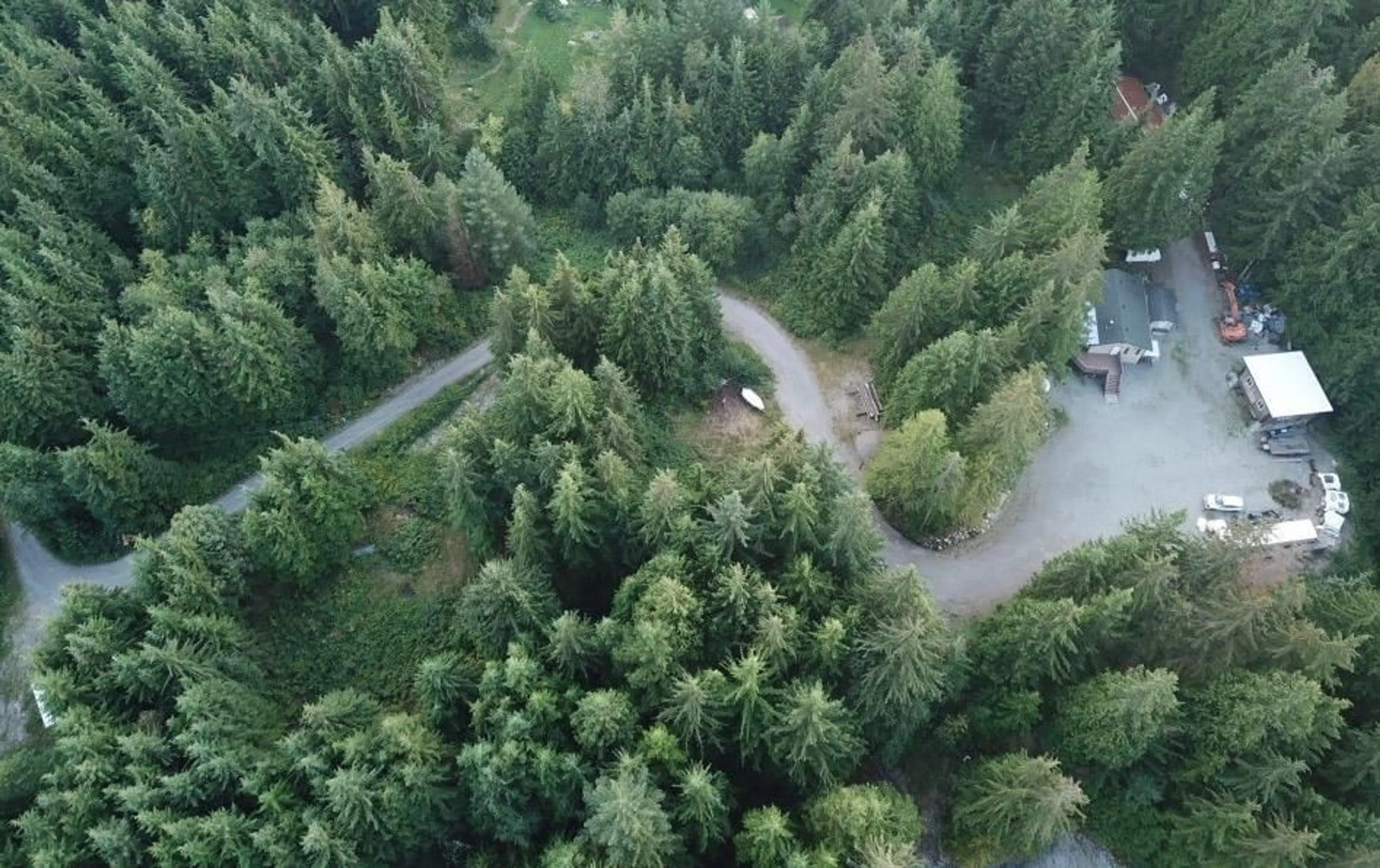 A pic from outside/outdoor area/front of a property/back of a property/a pic from drone, forest/trees view for 12483 CARDINAL, Mission British Columbia V4S1L3