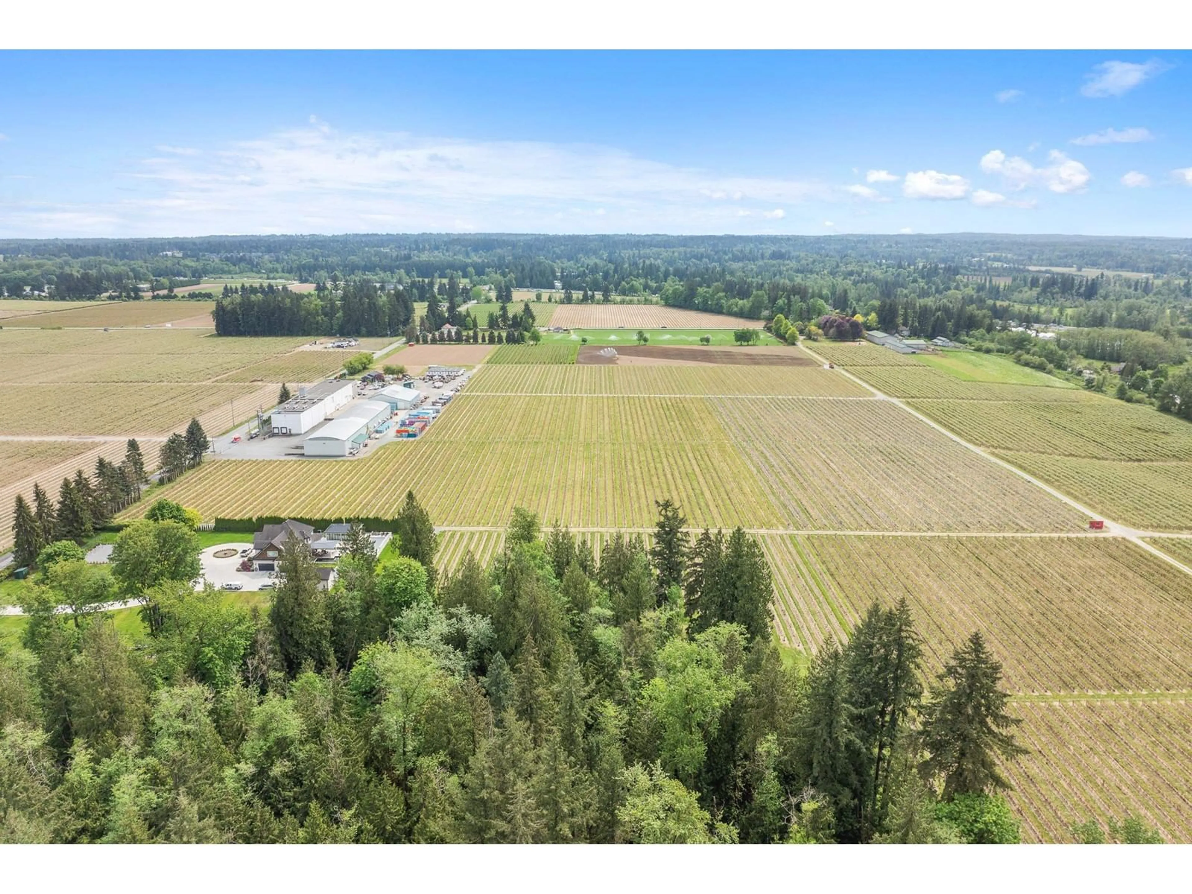 A pic from outside/outdoor area/front of a property/back of a property/a pic from drone, mountain view for 7361 240, Langley British Columbia V1M3P8