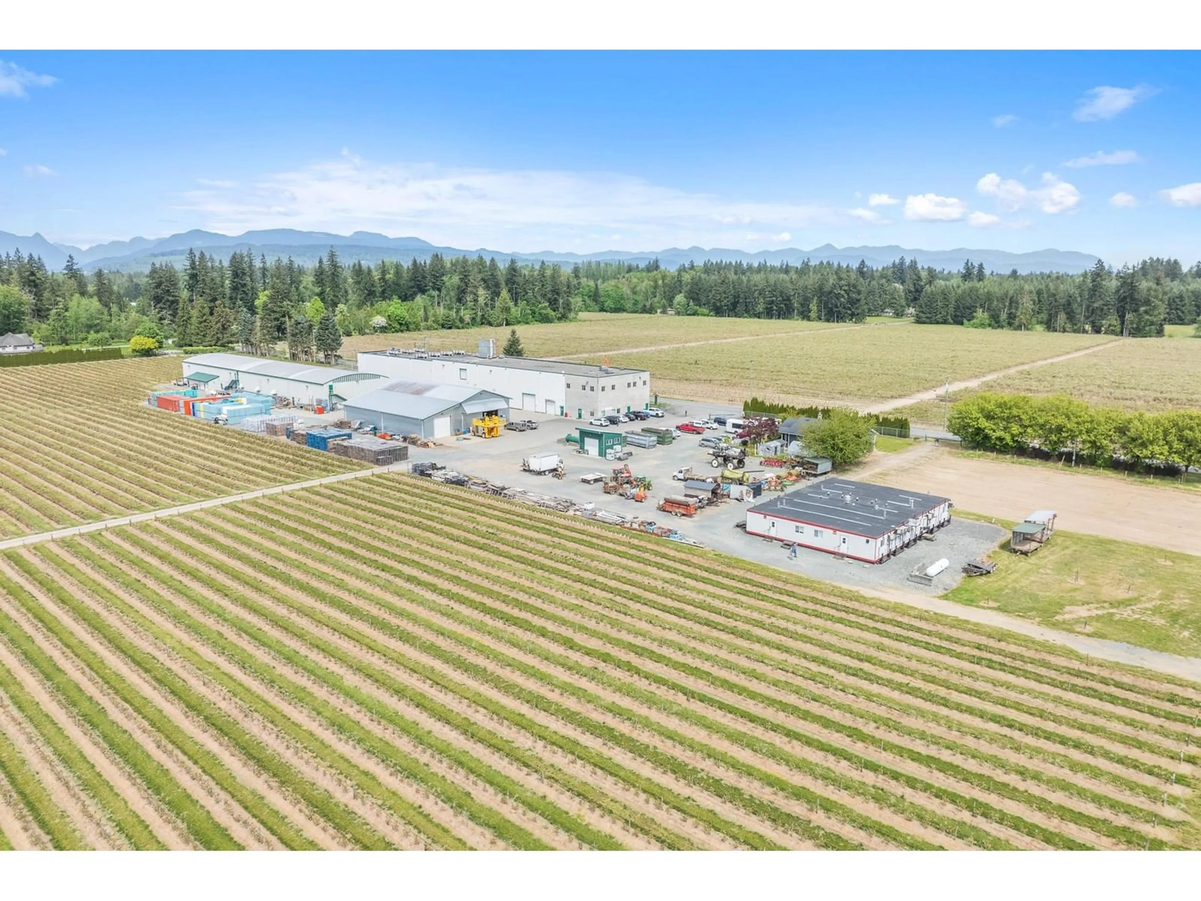 A pic from outside/outdoor area/front of a property/back of a property/a pic from drone, mountain view for 7361 240, Langley British Columbia V1M3P8