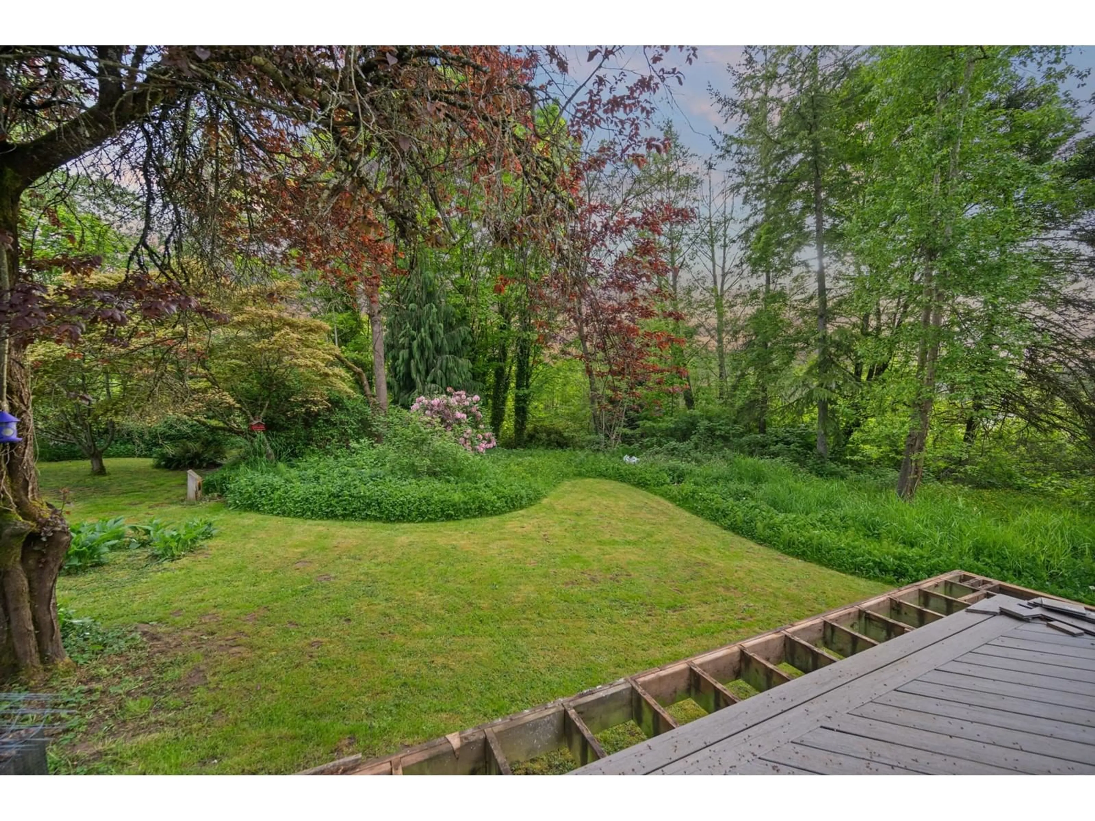 A pic from outside/outdoor area/front of a property/back of a property/a pic from drone, forest/trees view for 21411 2, Langley British Columbia V3A2V3