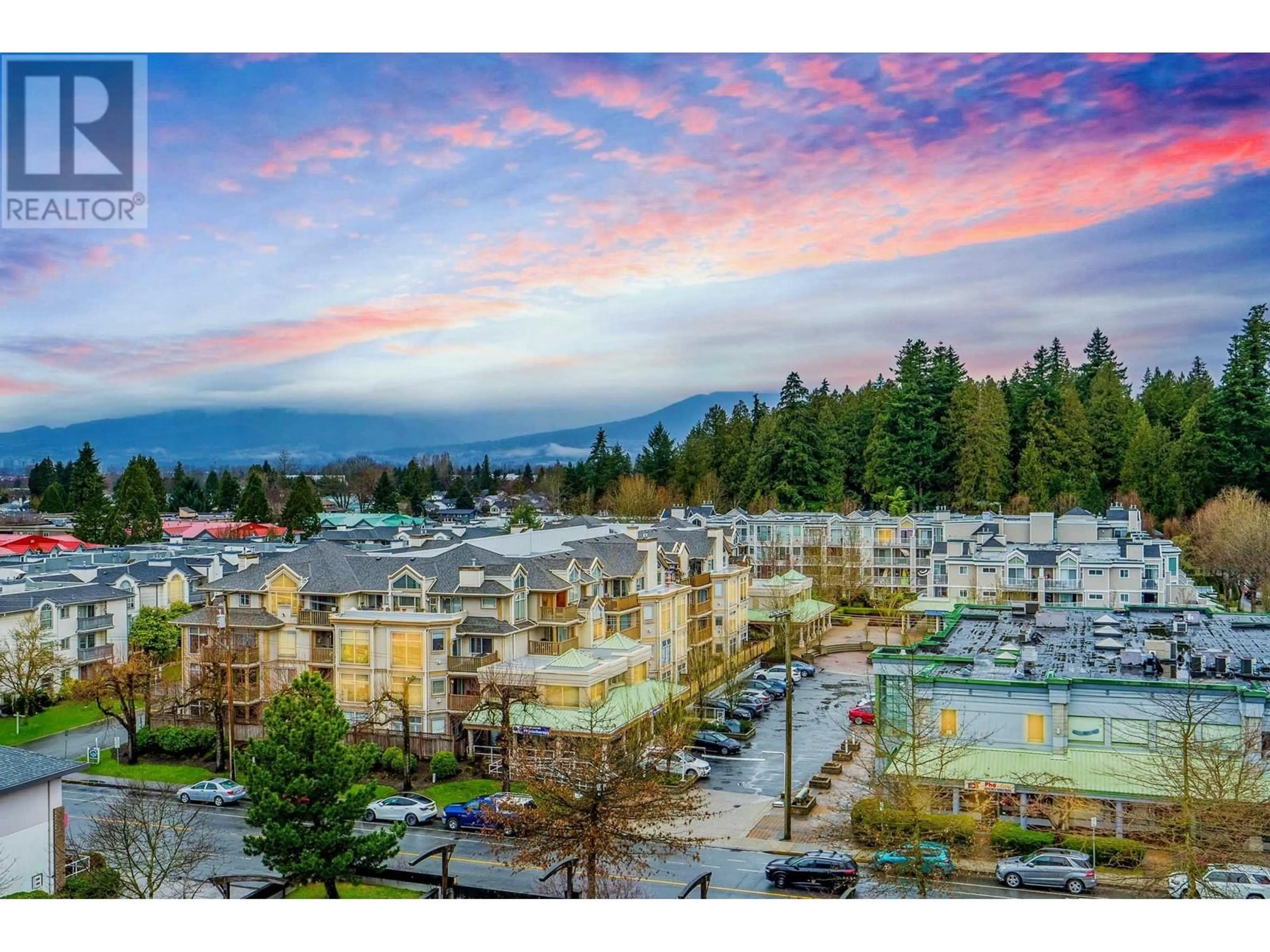 A pic from outside/outdoor area/front of a property/back of a property/a pic from drone, mountain view for 703 - 12079 HARRIS ROAD, Pitt Meadows British Columbia V3Y0C7