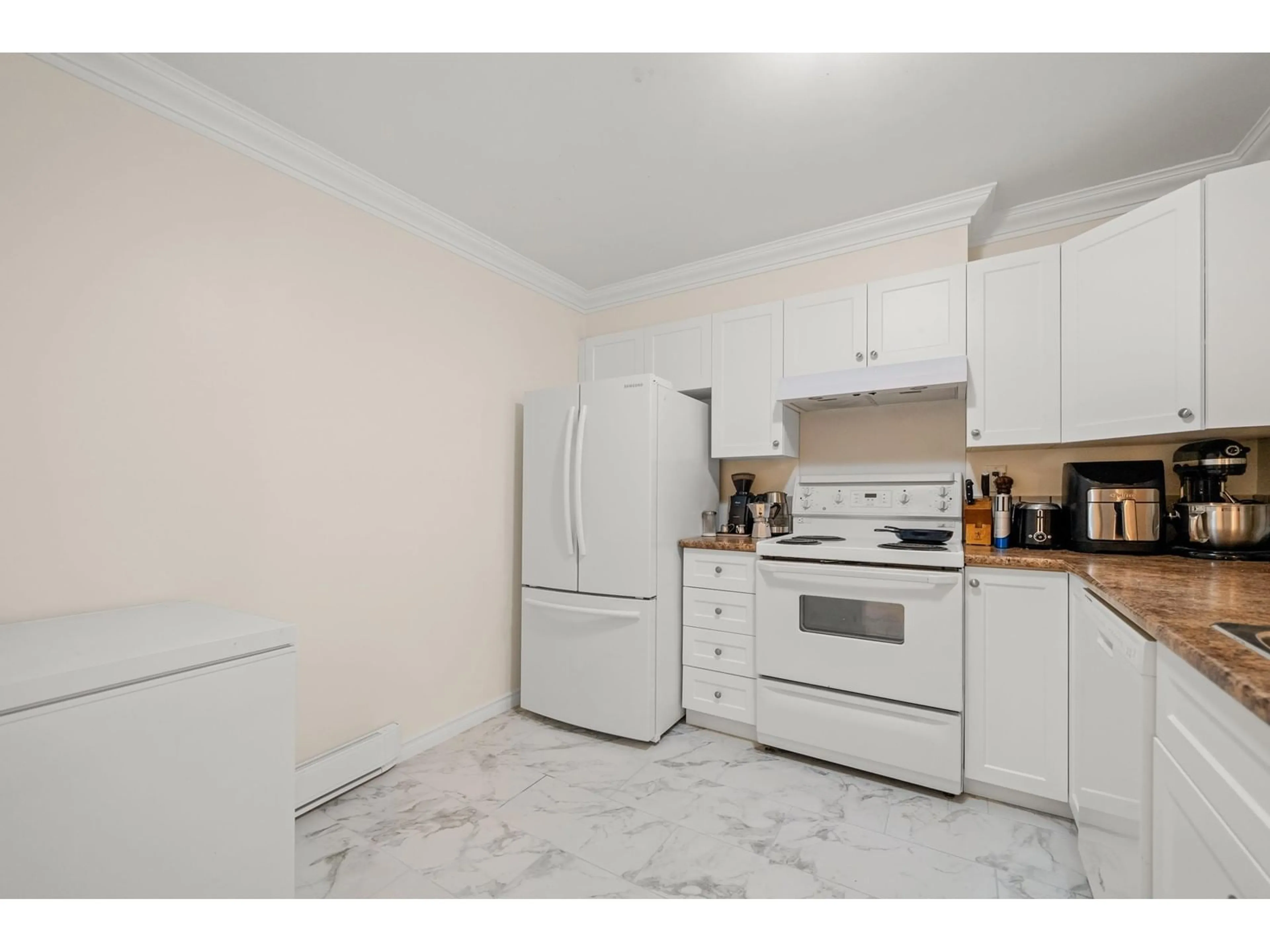 Standard kitchen, unknown for 103 - 15160 108, Surrey British Columbia V3R0V2