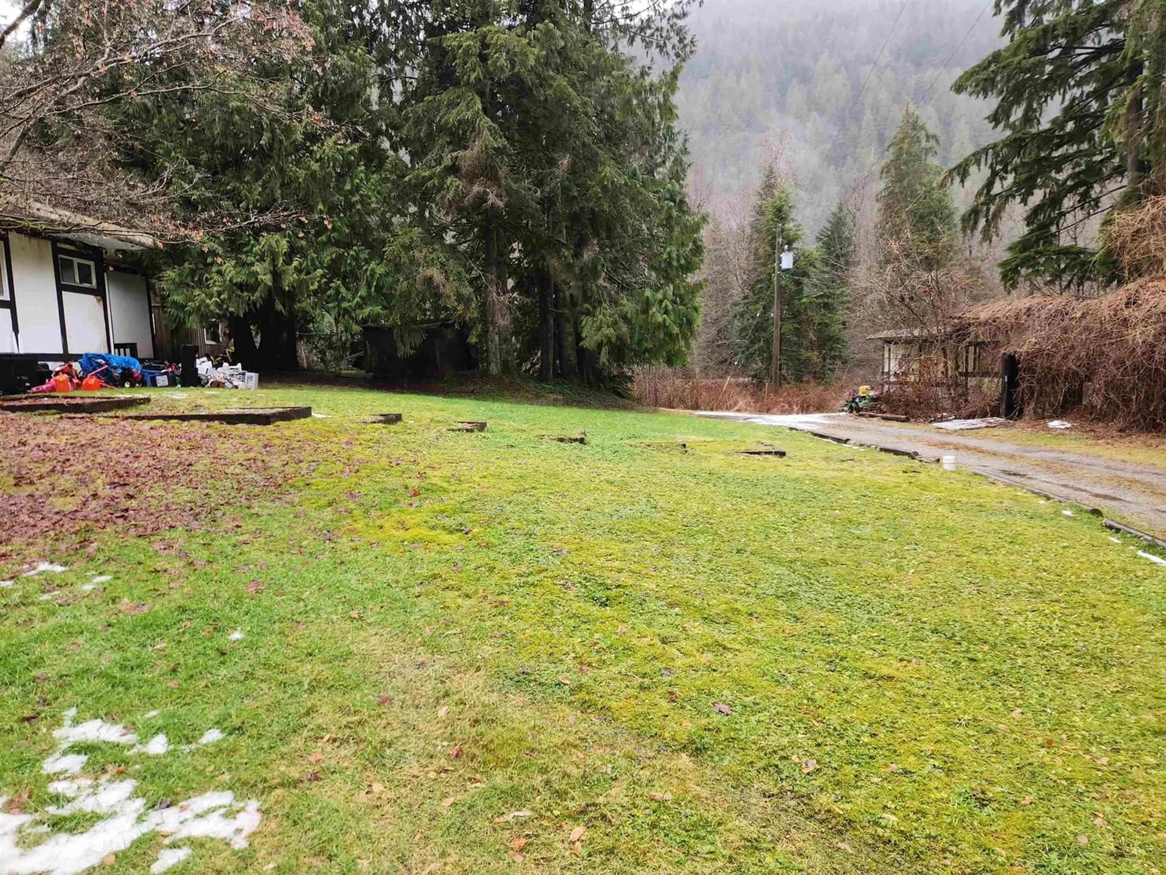 A pic from outside/outdoor area/front of a property/back of a property/a pic from drone, forest/trees view for 12723 STAVE LAKE, Mission British Columbia V2V0A6