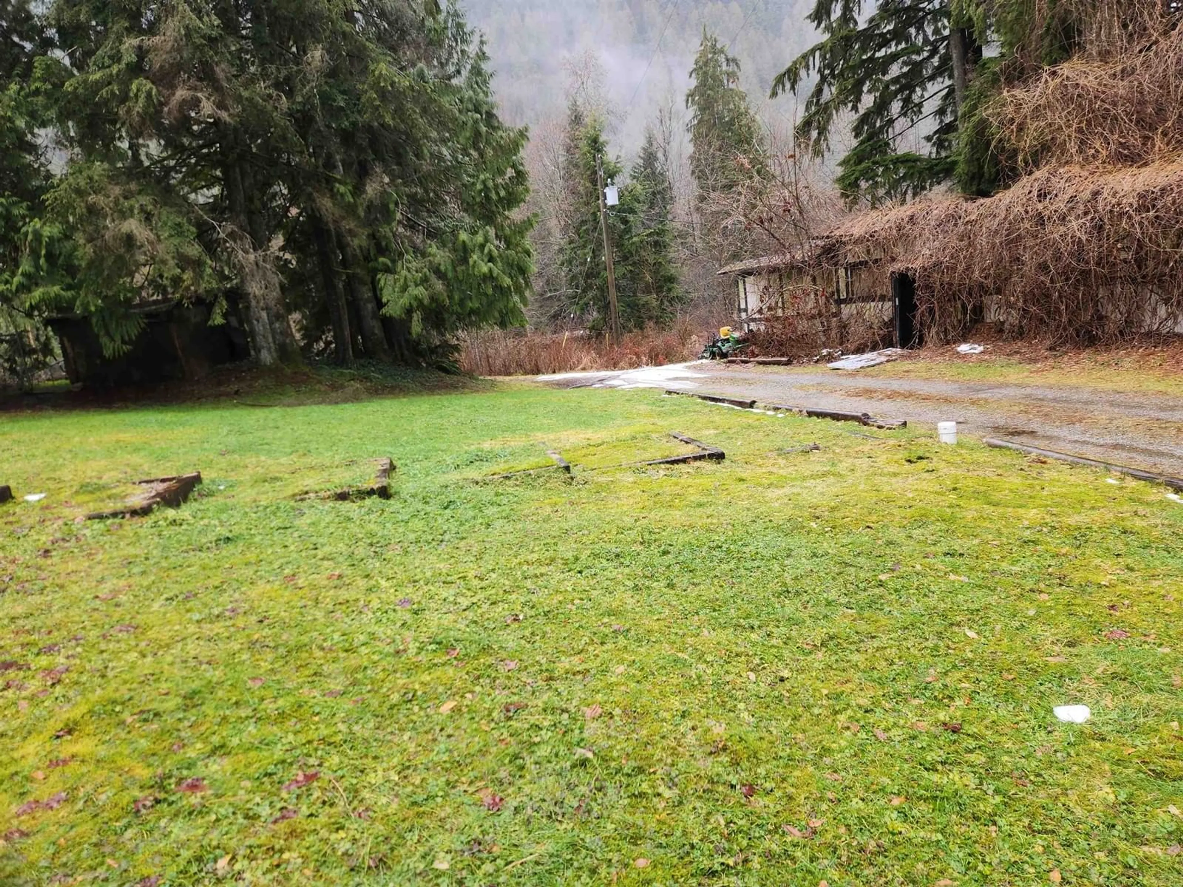 A pic from outside/outdoor area/front of a property/back of a property/a pic from drone, forest/trees view for 12723 STAVE LAKE, Mission British Columbia V2V0A6