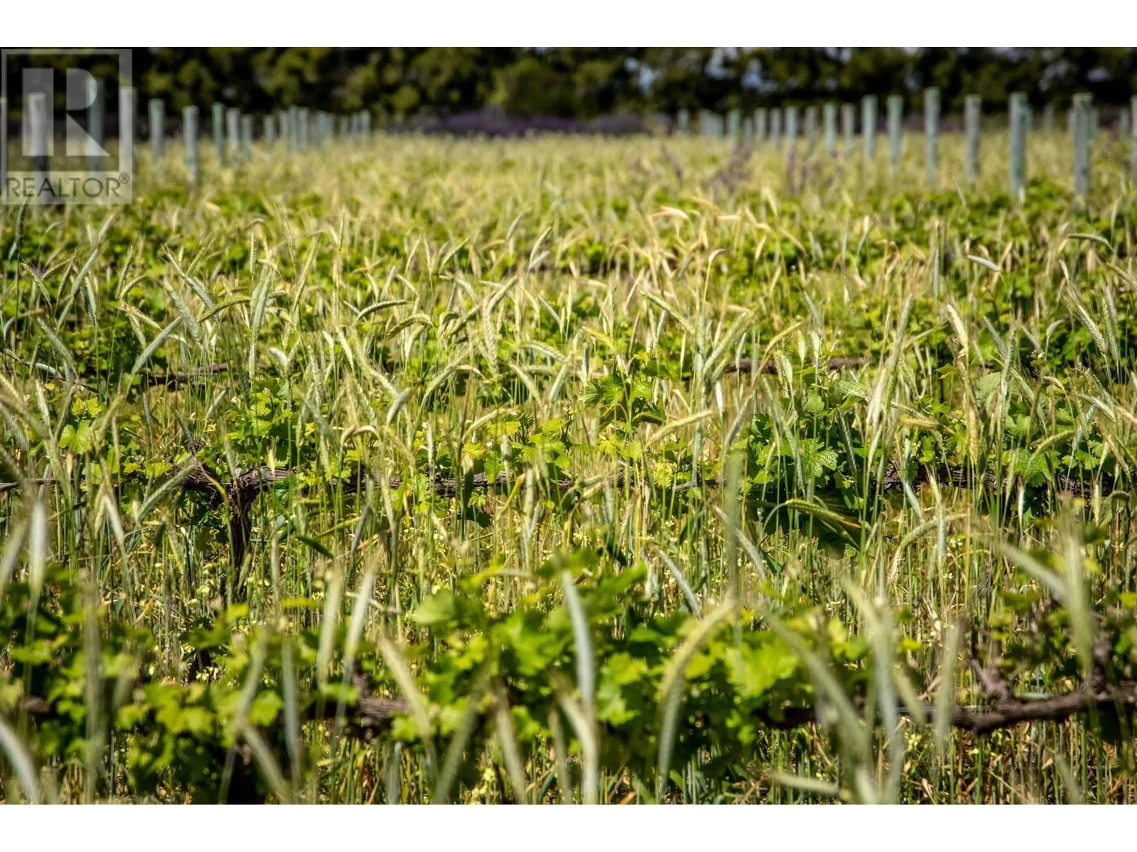Blurry image for 10925 248 STREET, Maple Ridge British Columbia V2W1G7