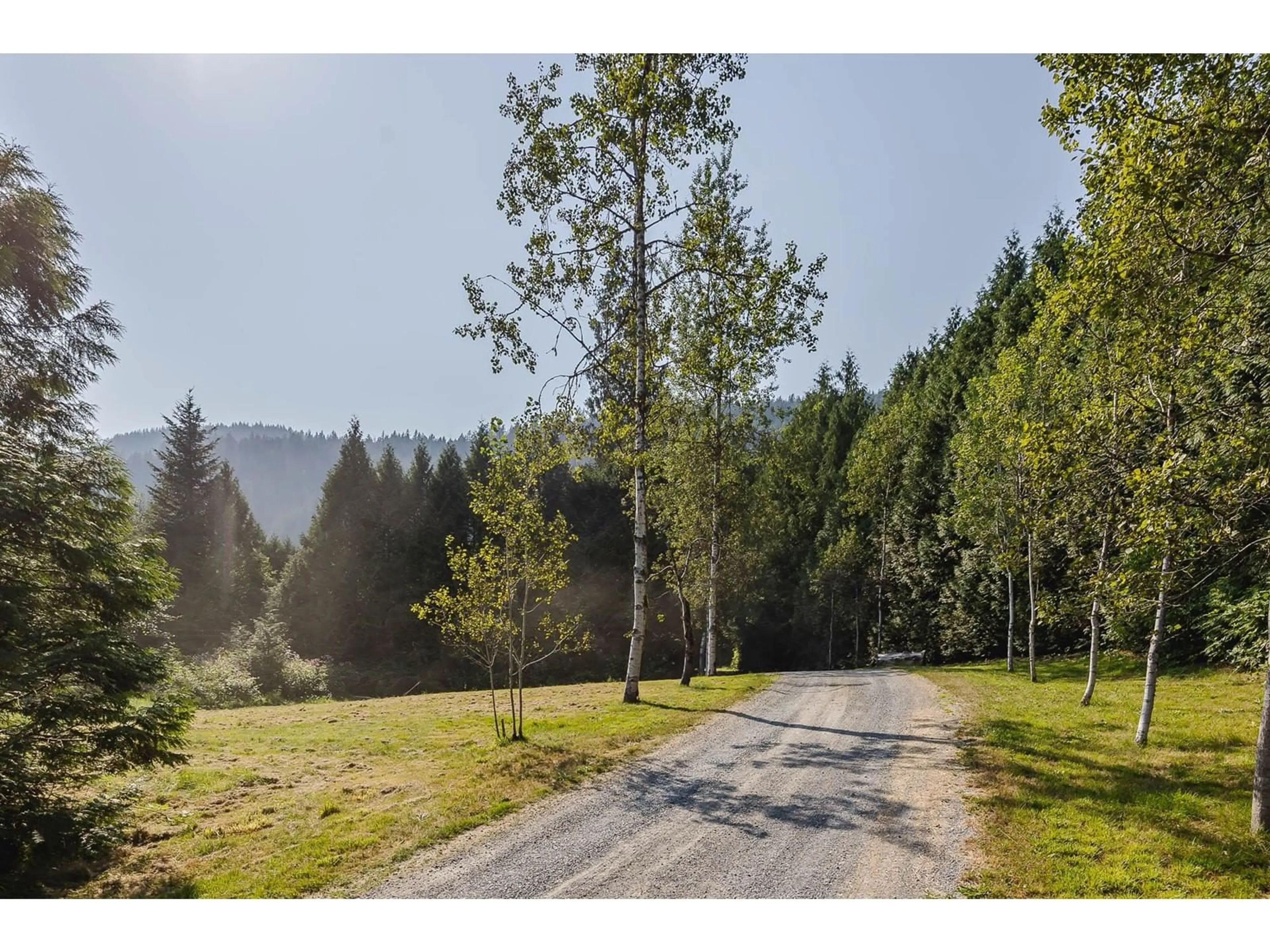 A pic from outside/outdoor area/front of a property/back of a property/a pic from drone, forest/trees view for 11977 STAVE LAKE, Mission British Columbia V2V4J1