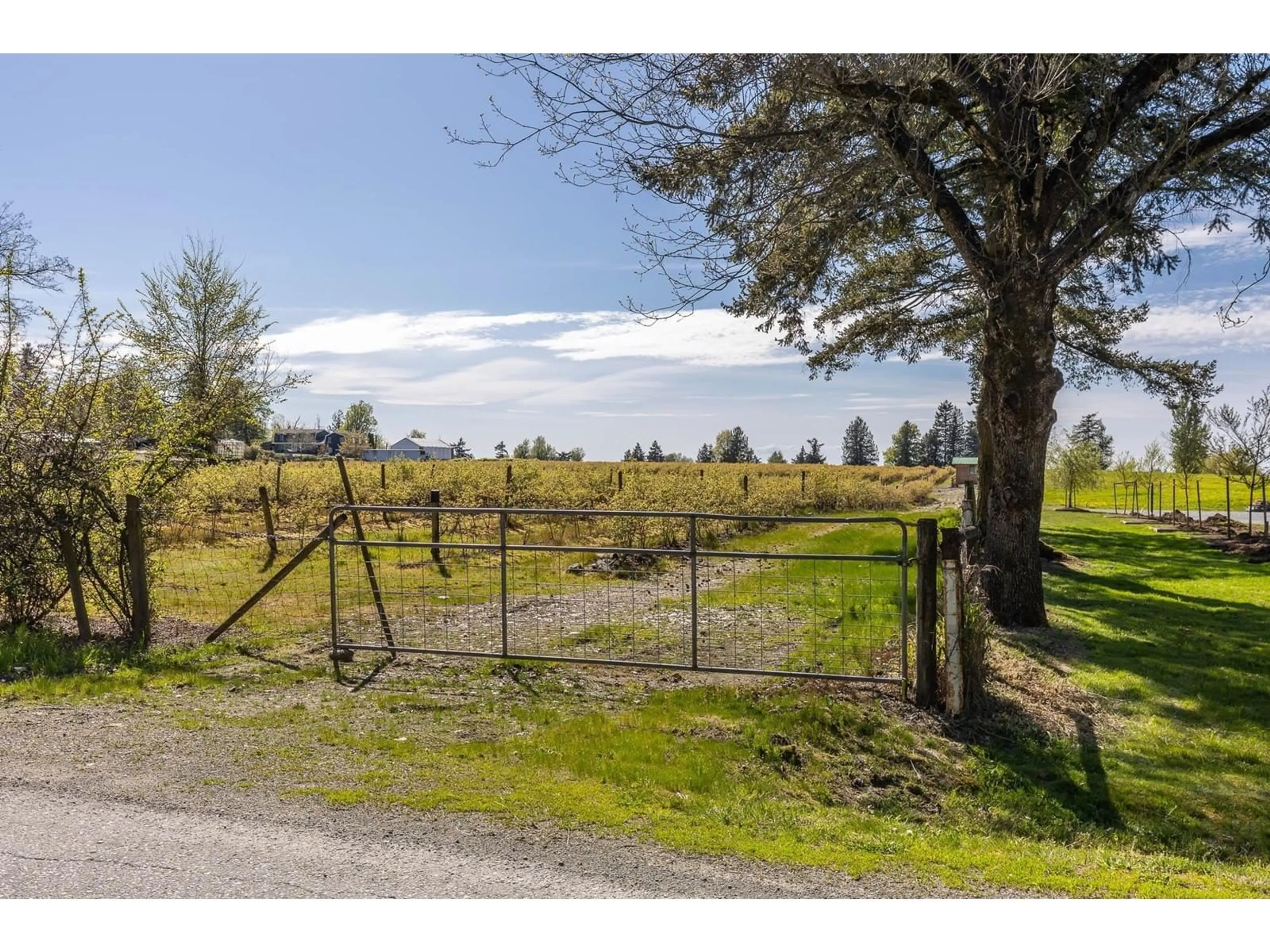 A pic from outside/outdoor area/front of a property/back of a property/a pic from drone, mountain view for 6905 BRADNER, Abbotsford British Columbia V4X2C6