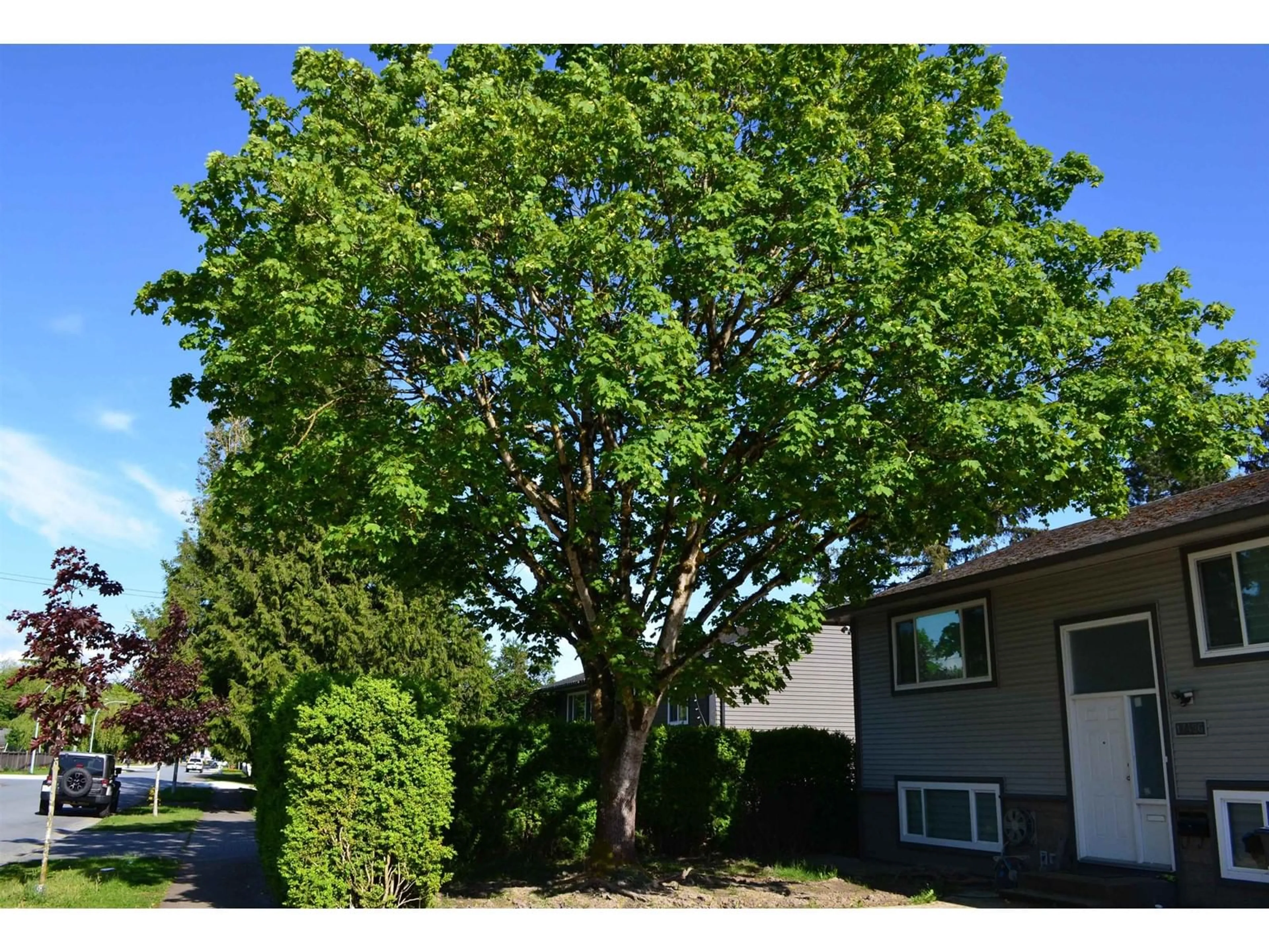 A pic from outside/outdoor area/front of a property/back of a property/a pic from drone, street for 17486 61A, Surrey British Columbia V3S5K2