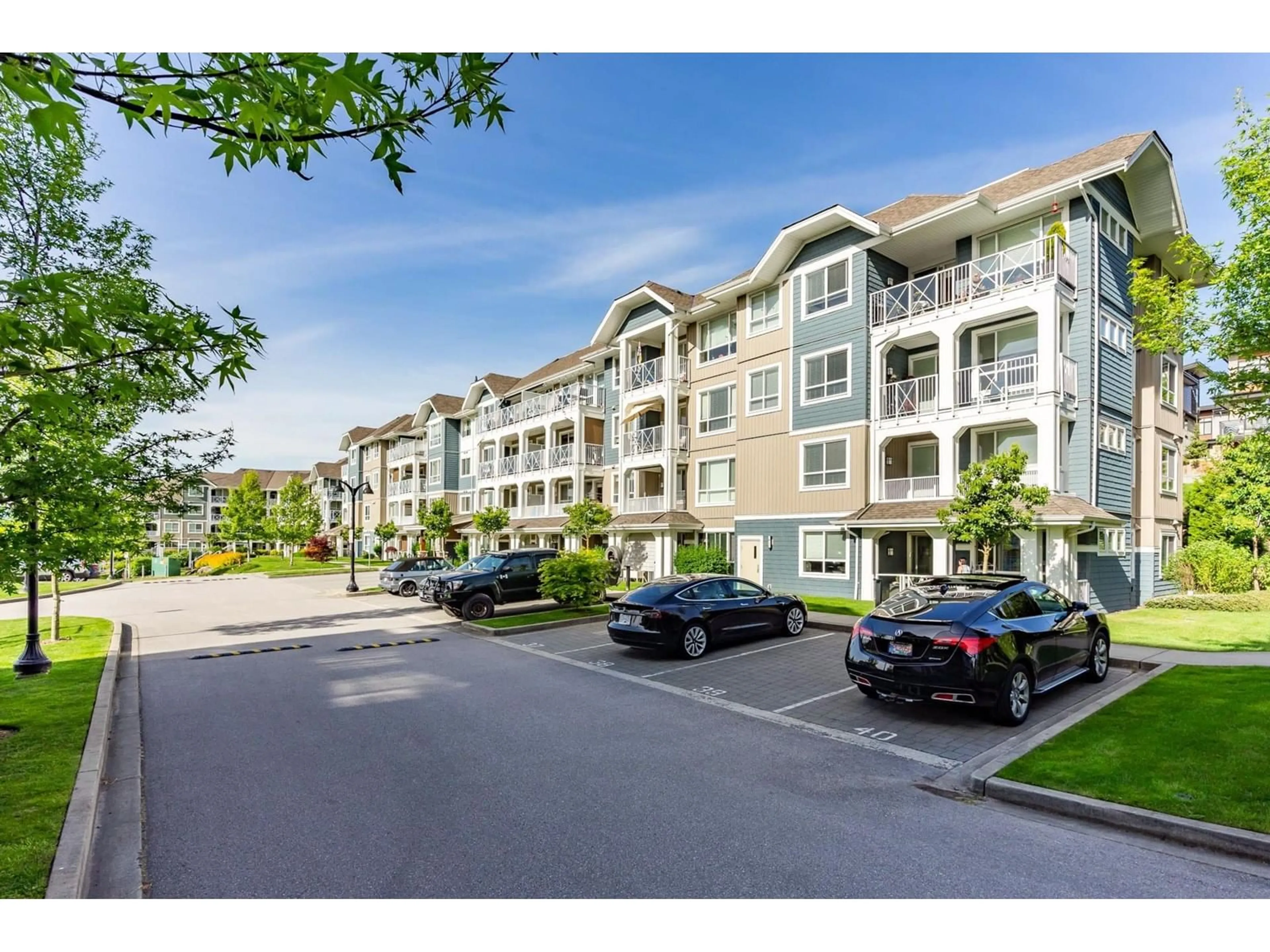 A pic from outside/outdoor area/front of a property/back of a property/a pic from drone, mountain view for 209 - 16396 64, Surrey British Columbia V3S6X6