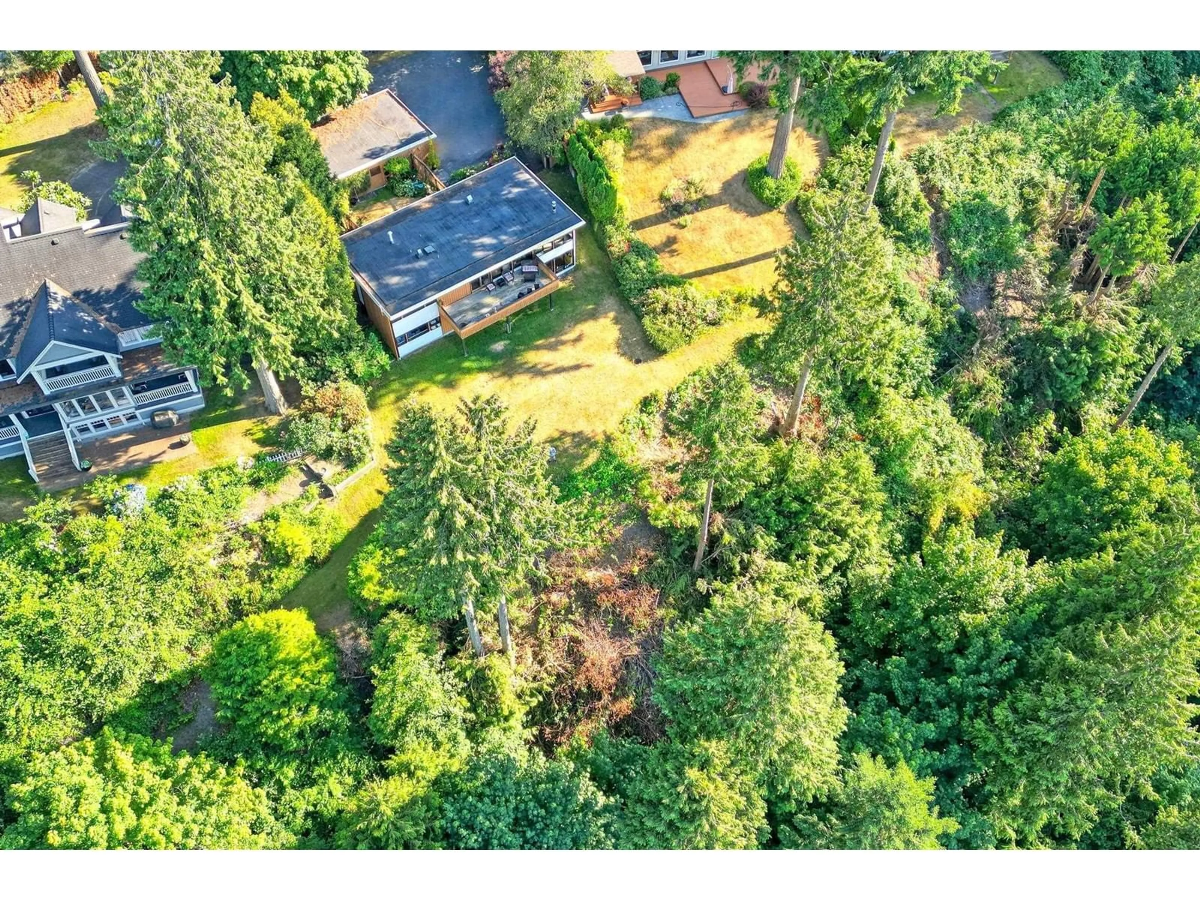 A pic from outside/outdoor area/front of a property/back of a property/a pic from drone, forest/trees view for 13047 CRESCENT, Surrey British Columbia V4P1J6