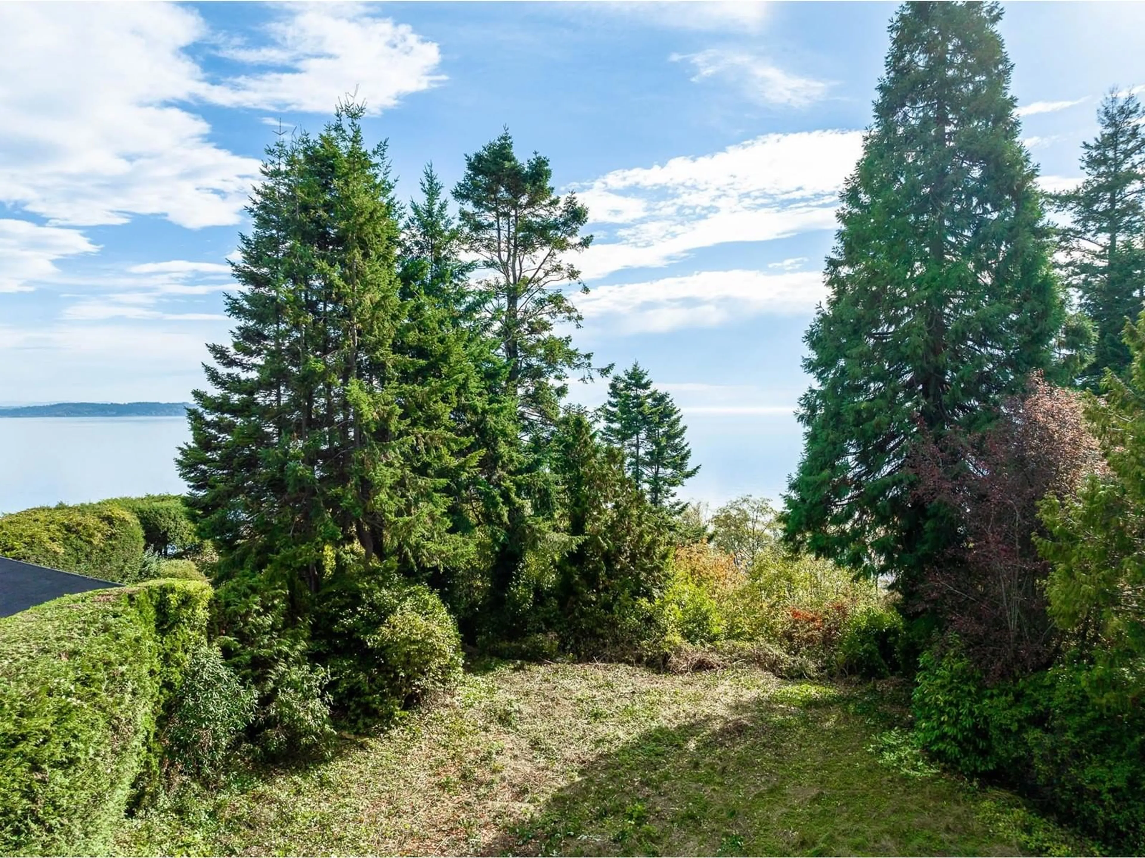A pic from outside/outdoor area/front of a property/back of a property/a pic from drone, forest/trees view for 13536 13A, Surrey British Columbia V4A1C4