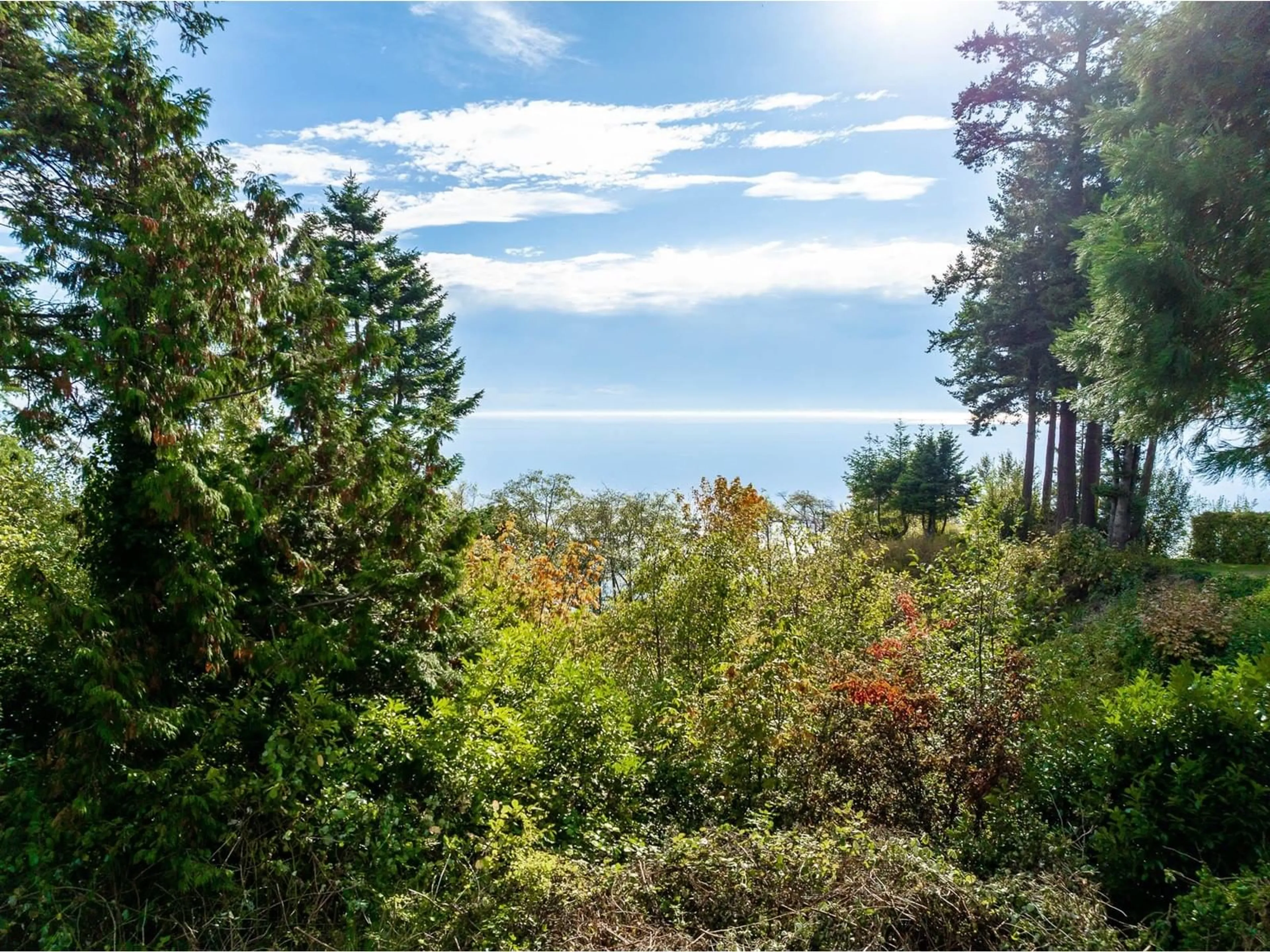 A pic from outside/outdoor area/front of a property/back of a property/a pic from drone, forest/trees view for 13536 13A, Surrey British Columbia V4A1C4