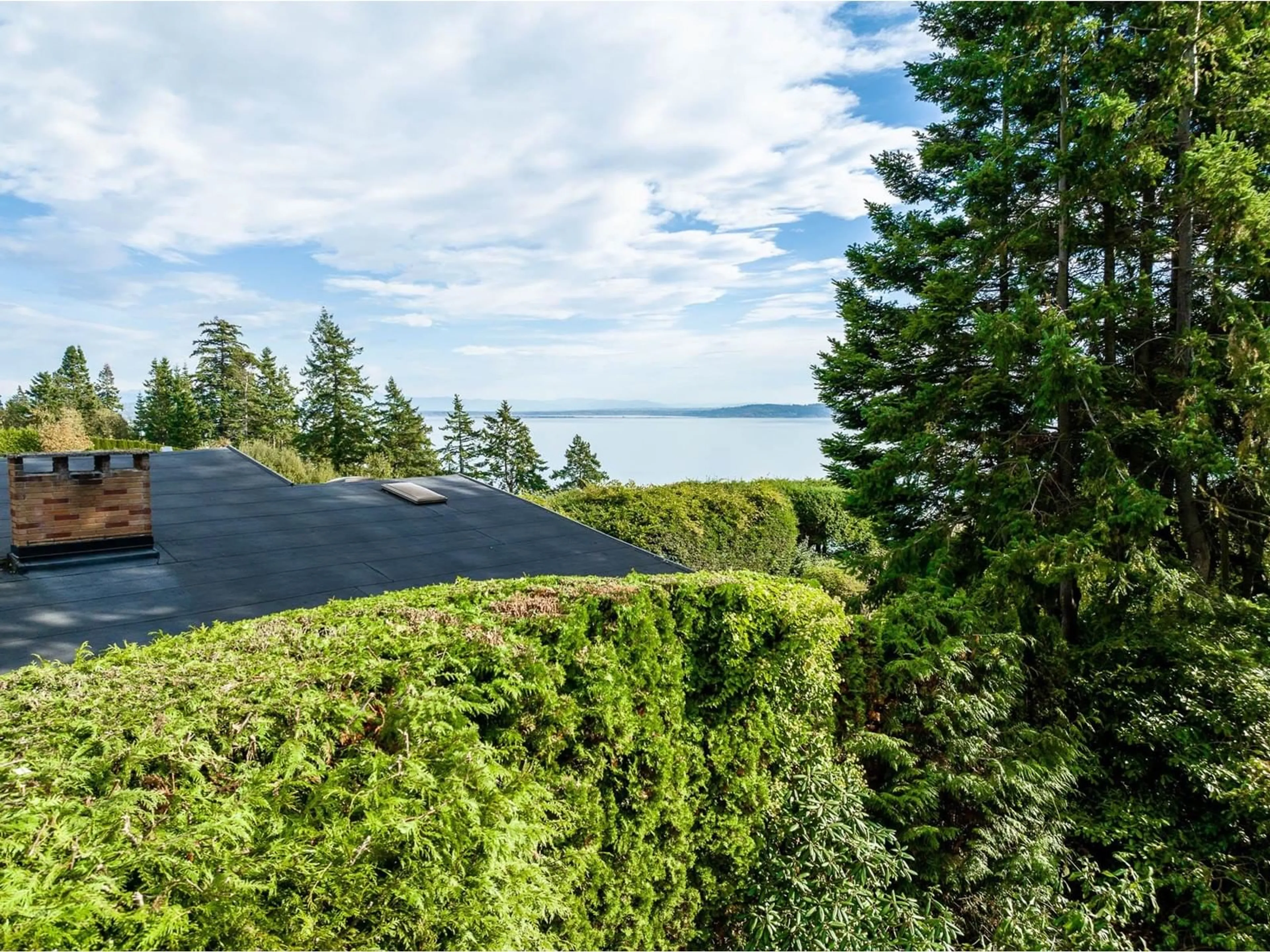 A pic from outside/outdoor area/front of a property/back of a property/a pic from drone, water/lake/river/ocean view for 13536 13A, Surrey British Columbia V4A1C4