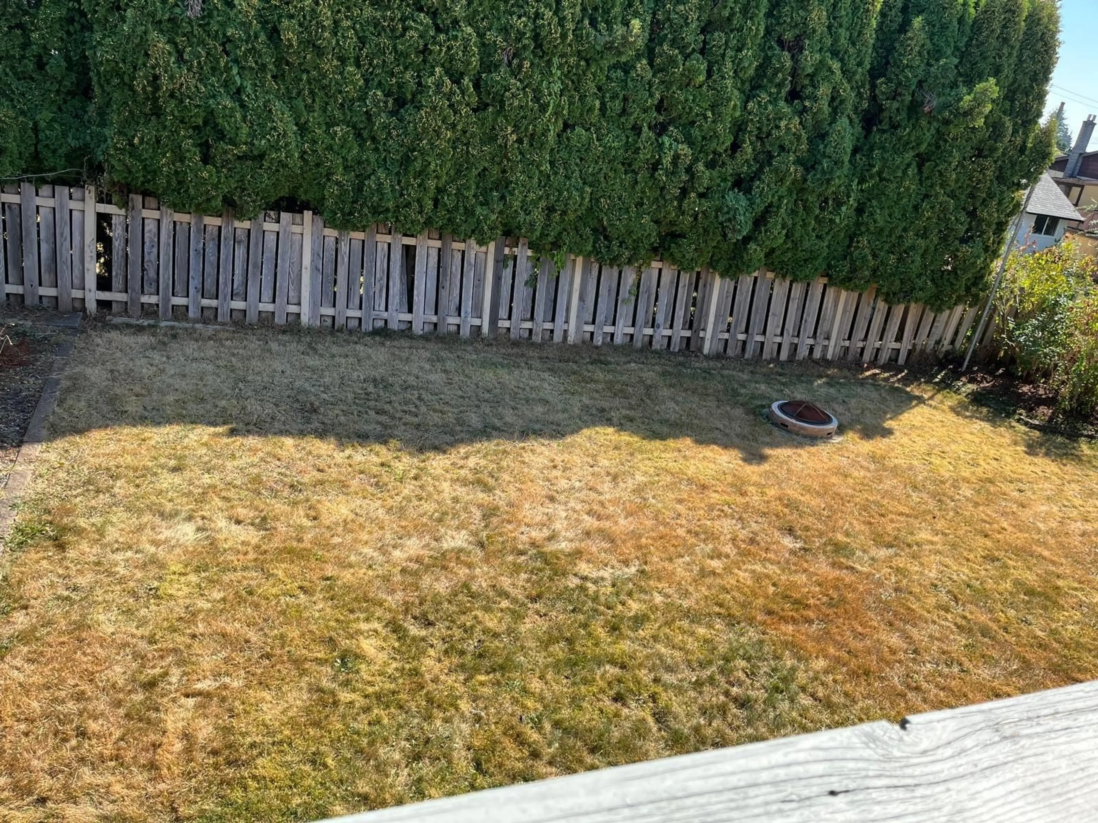 A pic from outside/outdoor area/front of a property/back of a property/a pic from drone, forest/trees view for 7668 WOODCOCK, Mission British Columbia V2V4L7