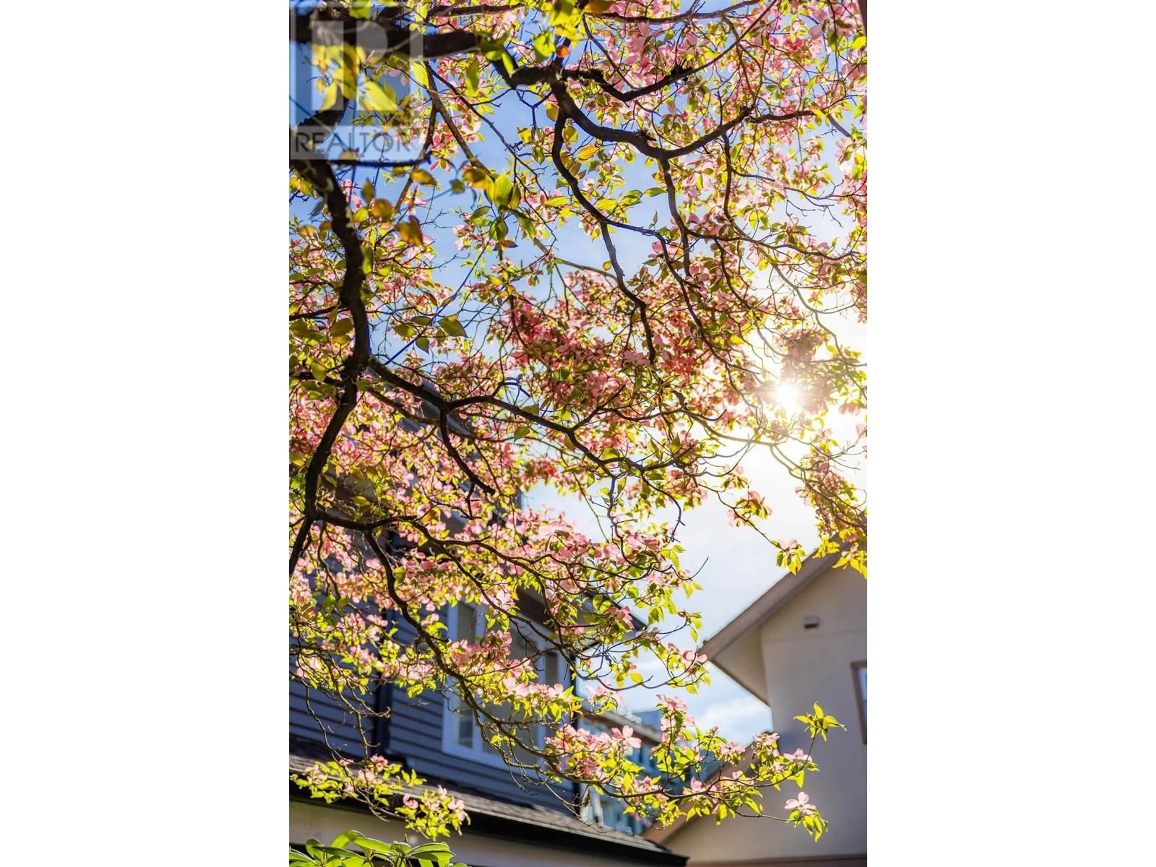 Unknown for 1975 STEPHENS STREET, Vancouver British Columbia V6K4M7
