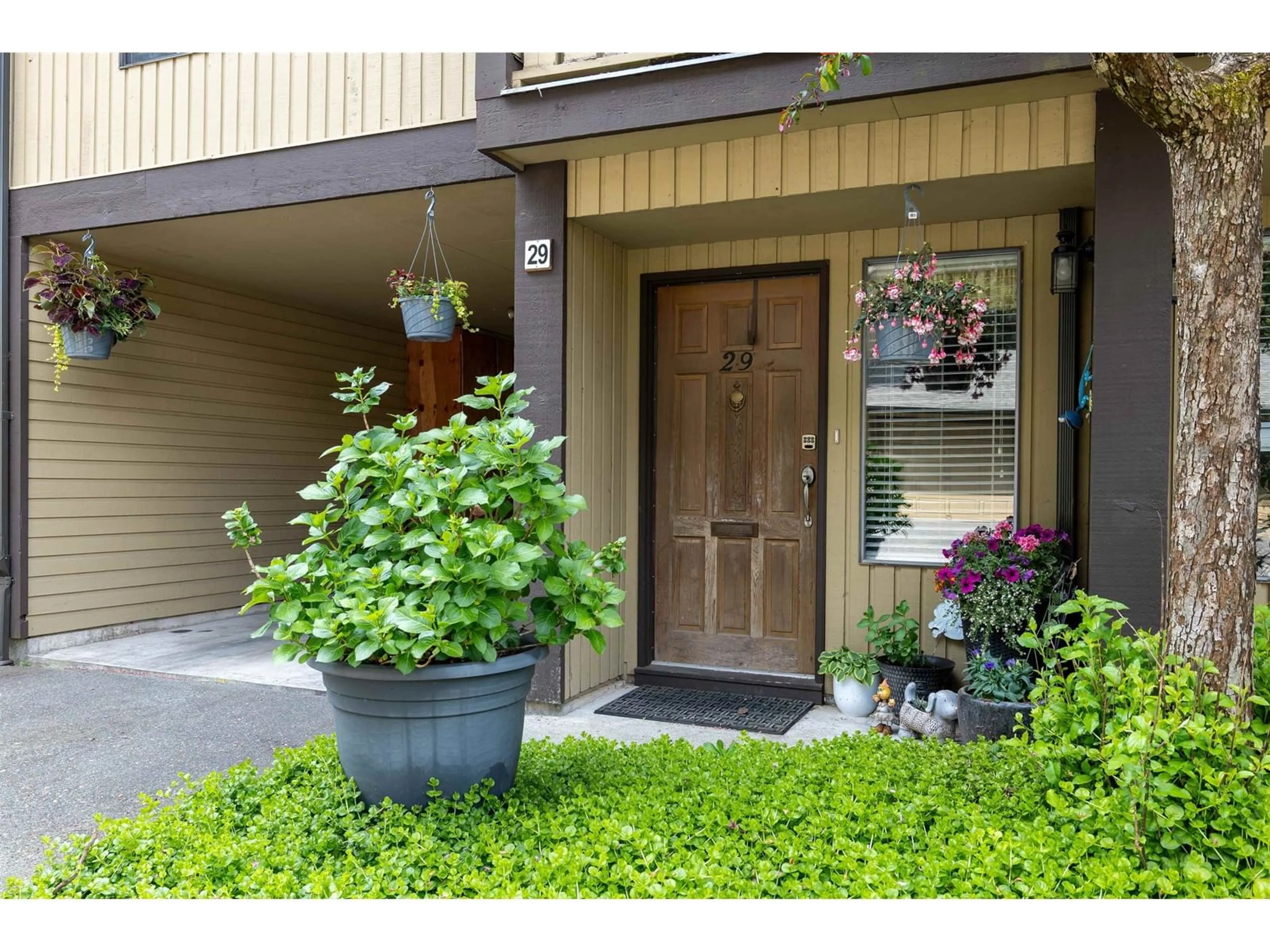 Indoor entryway for 29 - 2998 MOUAT, Abbotsford British Columbia V2T4E6