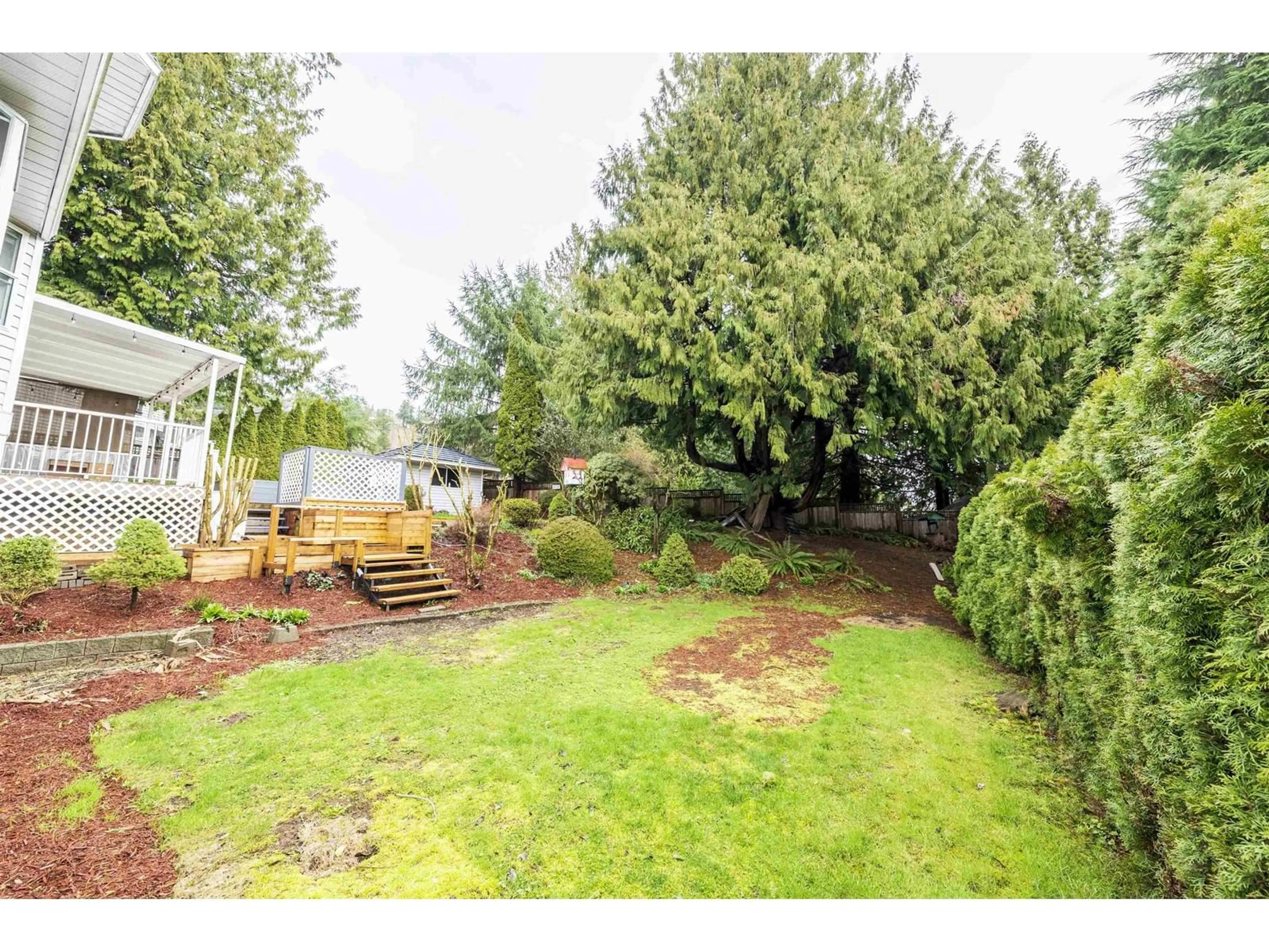 A pic from outside/outdoor area/front of a property/back of a property/a pic from drone, forest/trees view for 35288 MARSHALL, Abbotsford British Columbia V3G2C1