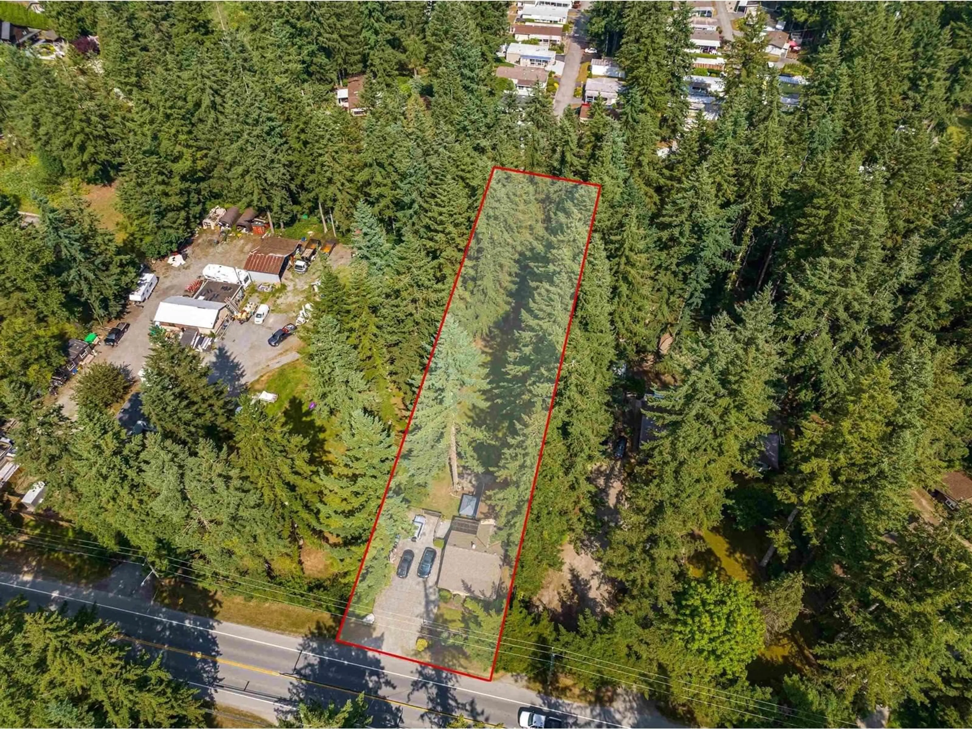 A pic from outside/outdoor area/front of a property/back of a property/a pic from drone, forest/trees view for 2552 200, Langley British Columbia V2Z1X1