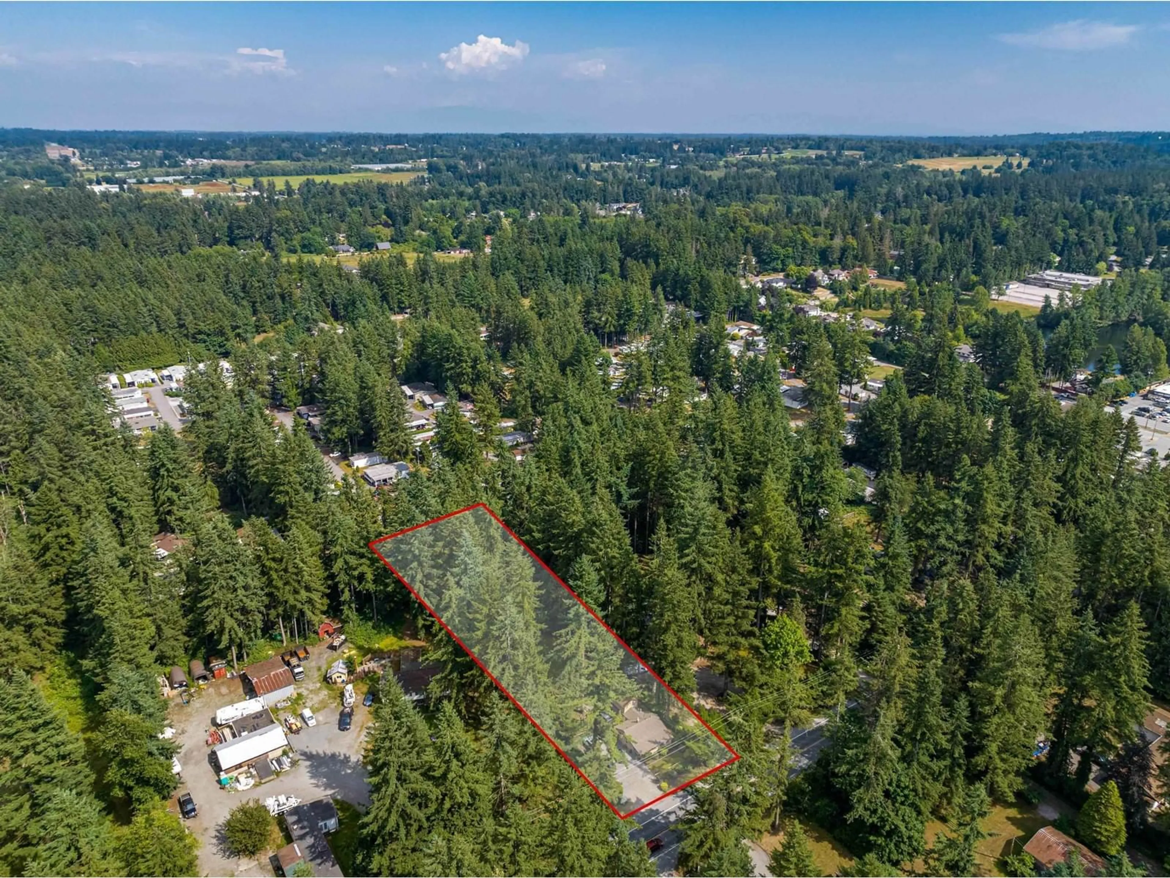 A pic from outside/outdoor area/front of a property/back of a property/a pic from drone, forest/trees view for 2552 200, Langley British Columbia V2Z1X1