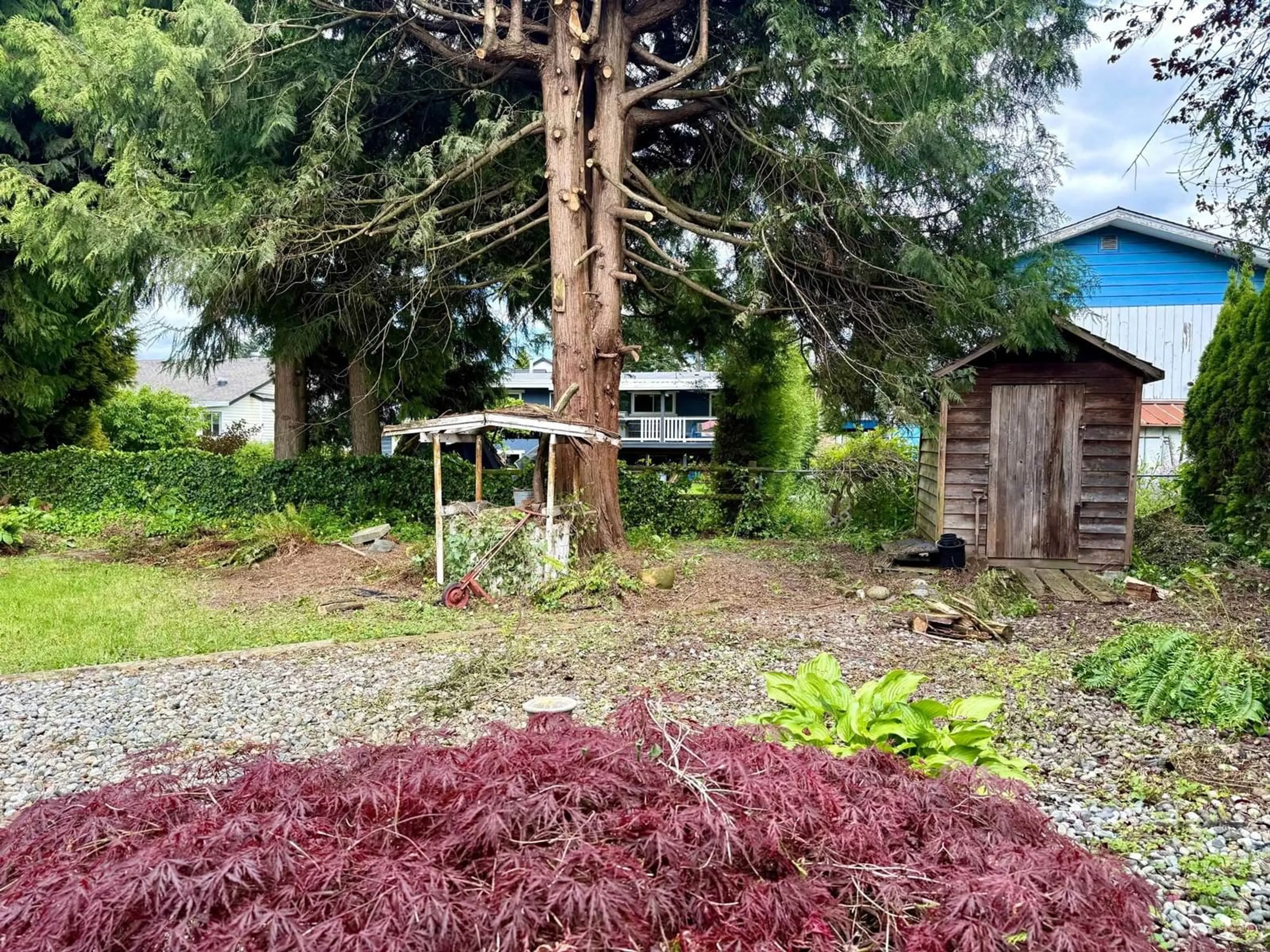 A pic from outside/outdoor area/front of a property/back of a property/a pic from drone, forest/trees view for 2062 PRIMROSE, Abbotsford British Columbia V2S2Z1