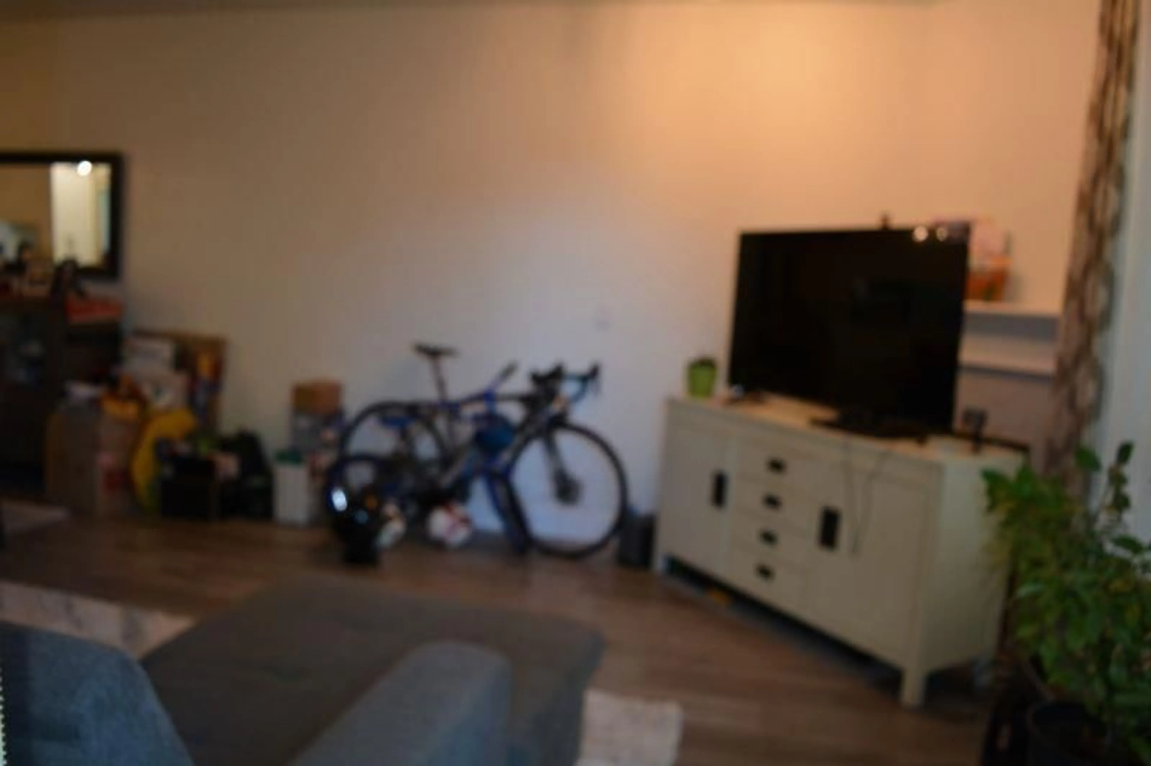 A pic of a room for 110 - 10082 132, Surrey British Columbia V3T5V3
