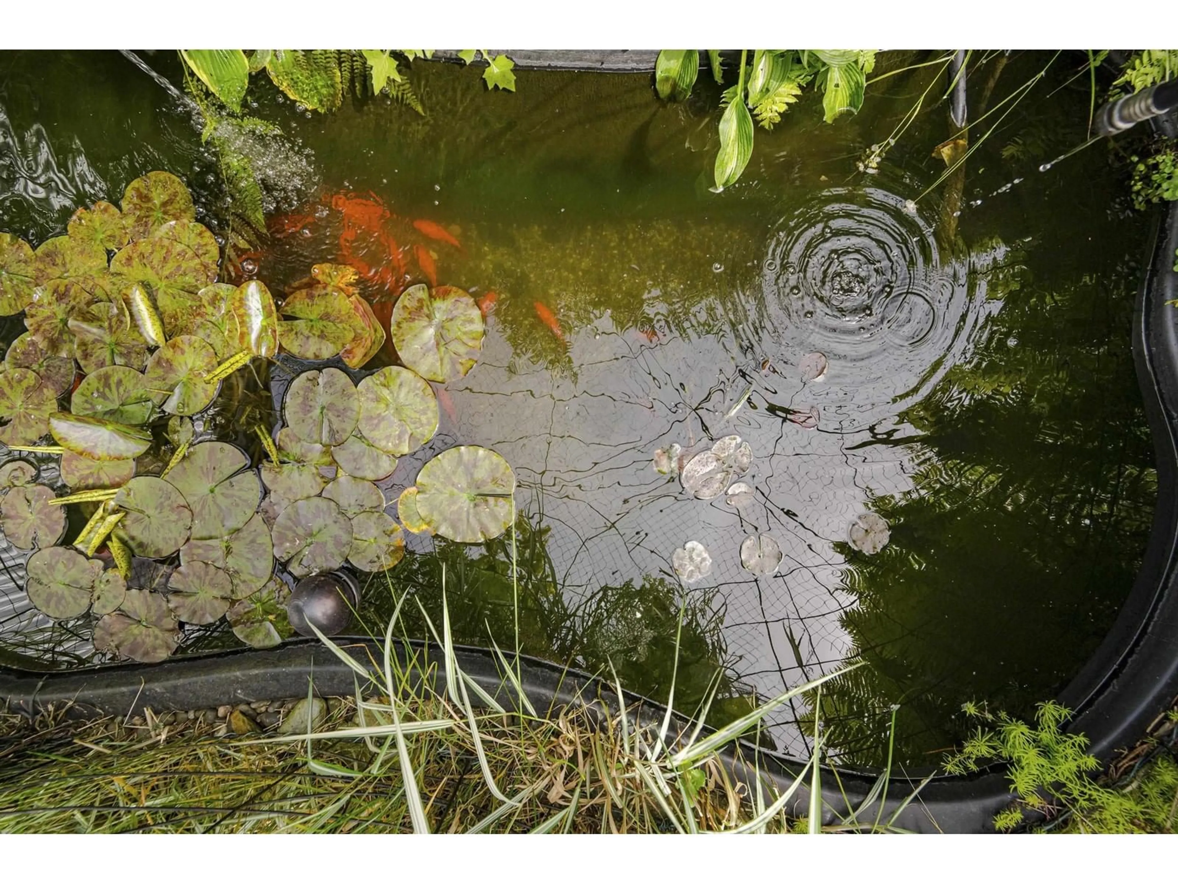 Blurry image for 26967 28, Langley British Columbia V4W3A2
