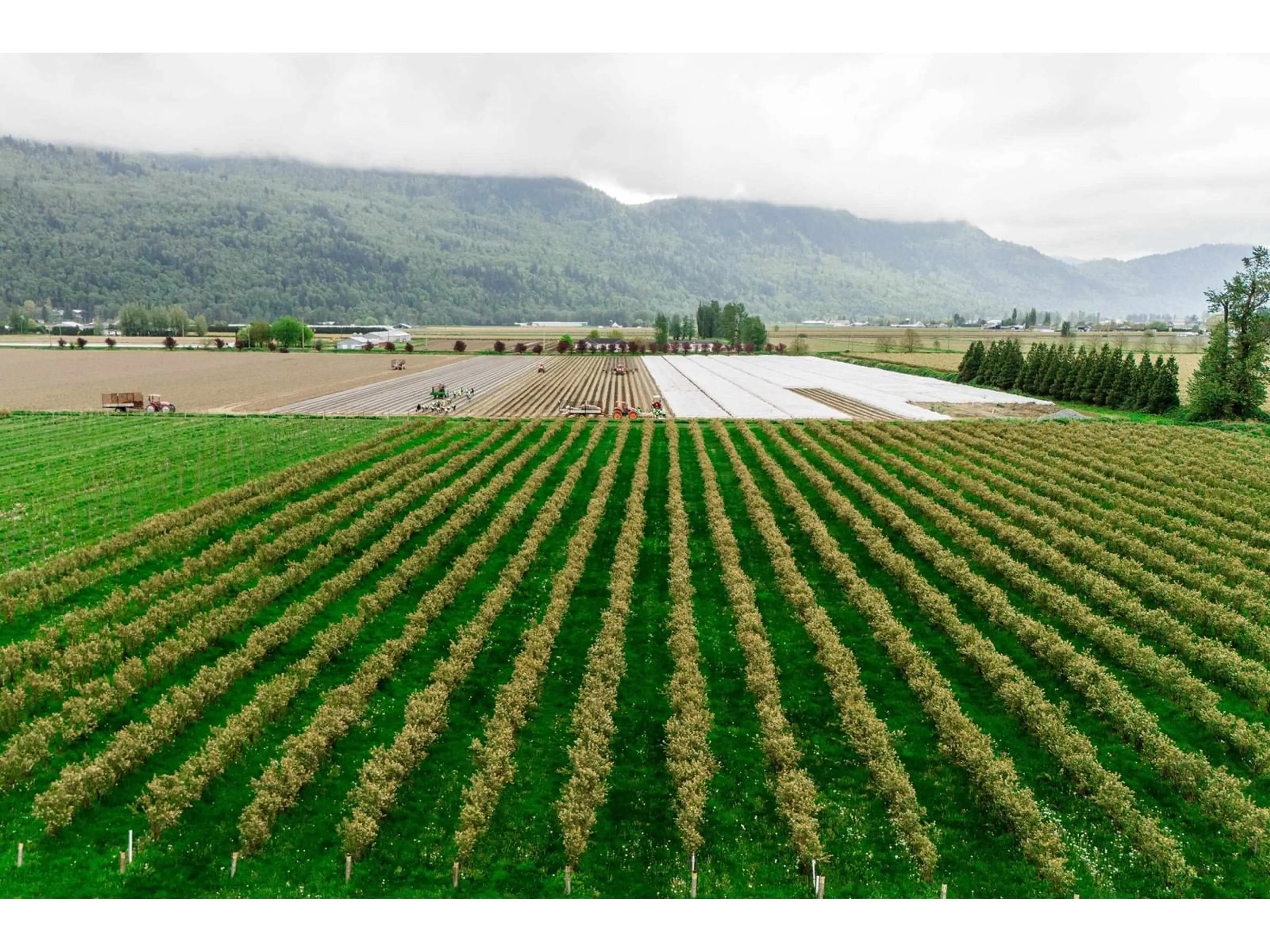 A pic from outside/outdoor area/front of a property/back of a property/a pic from drone, mountain view for 3387 TOLMIE, Abbotsford British Columbia V3G2T9