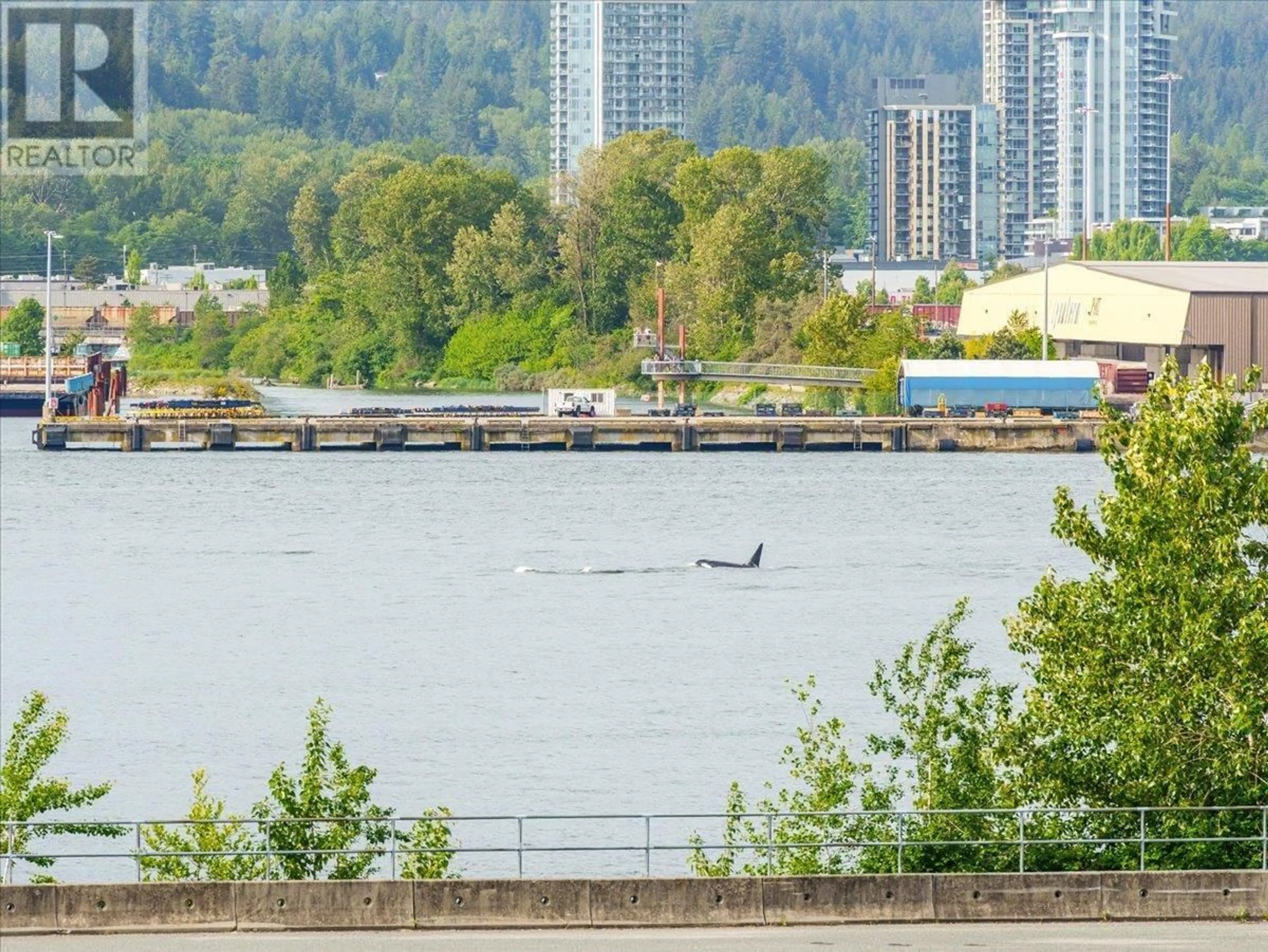 Blurry image for 2951 WALL STREET, Vancouver British Columbia V5K0A6