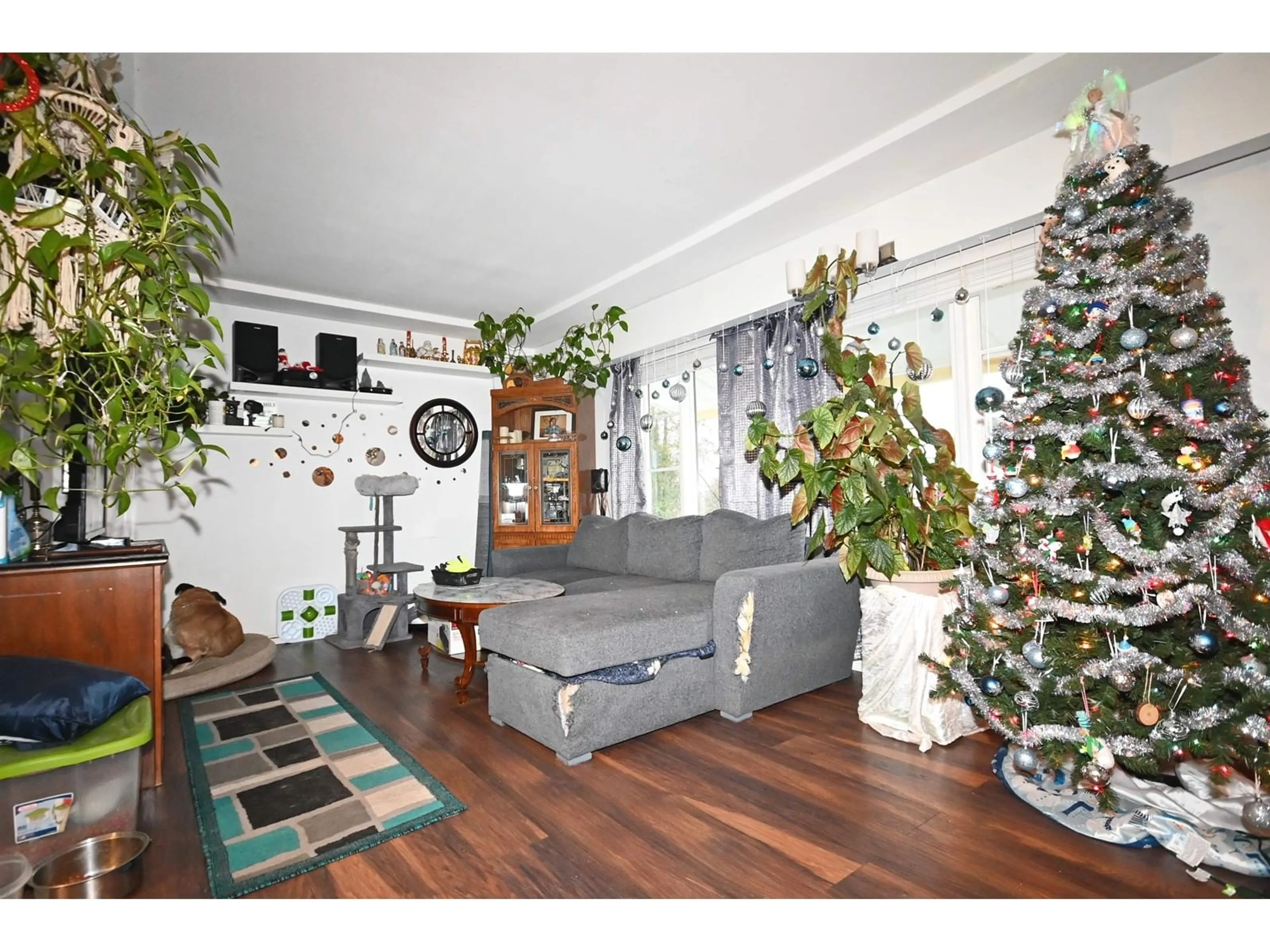 Living room with furniture, wood/laminate floor for 10618 137A, Surrey British Columbia V3T4J6