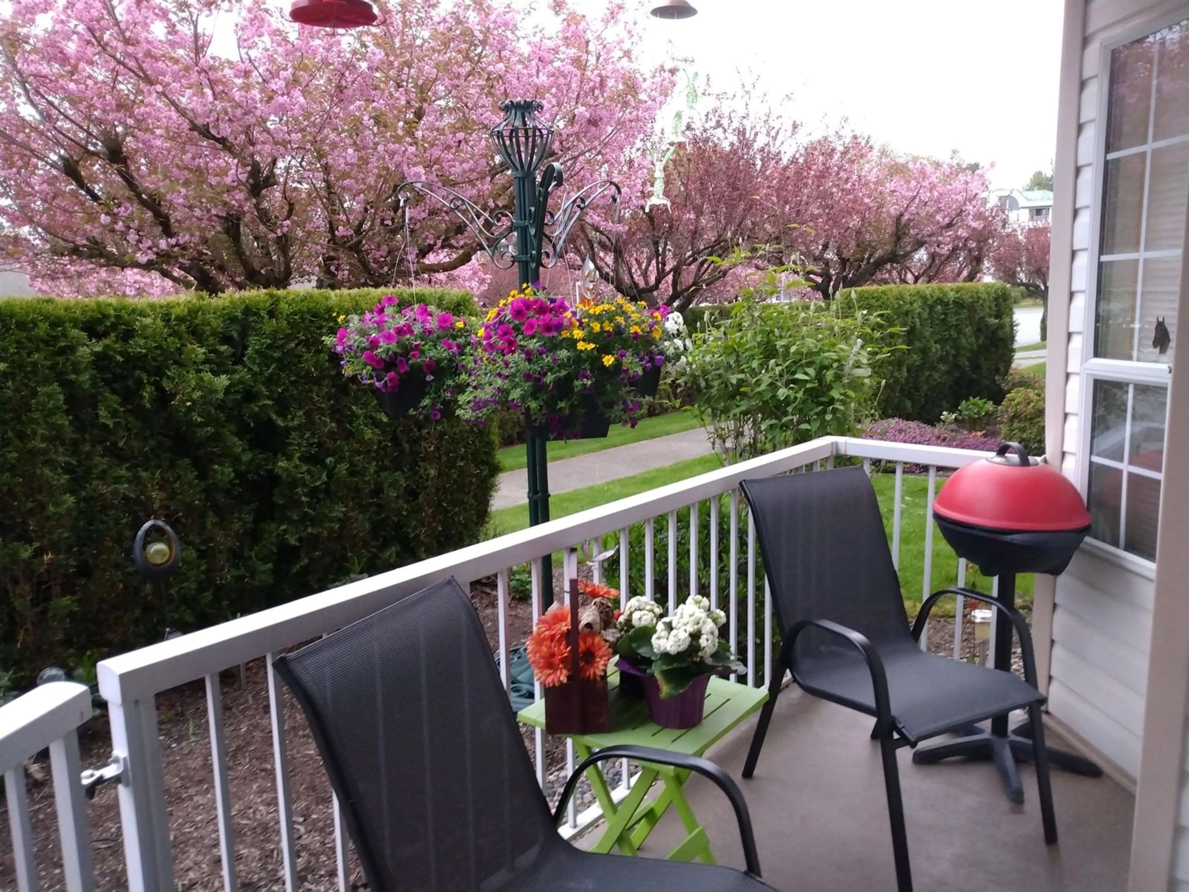 Patio, street for 13 - 2919 TRAFALGAR, Abbotsford British Columbia V2S7Y1
