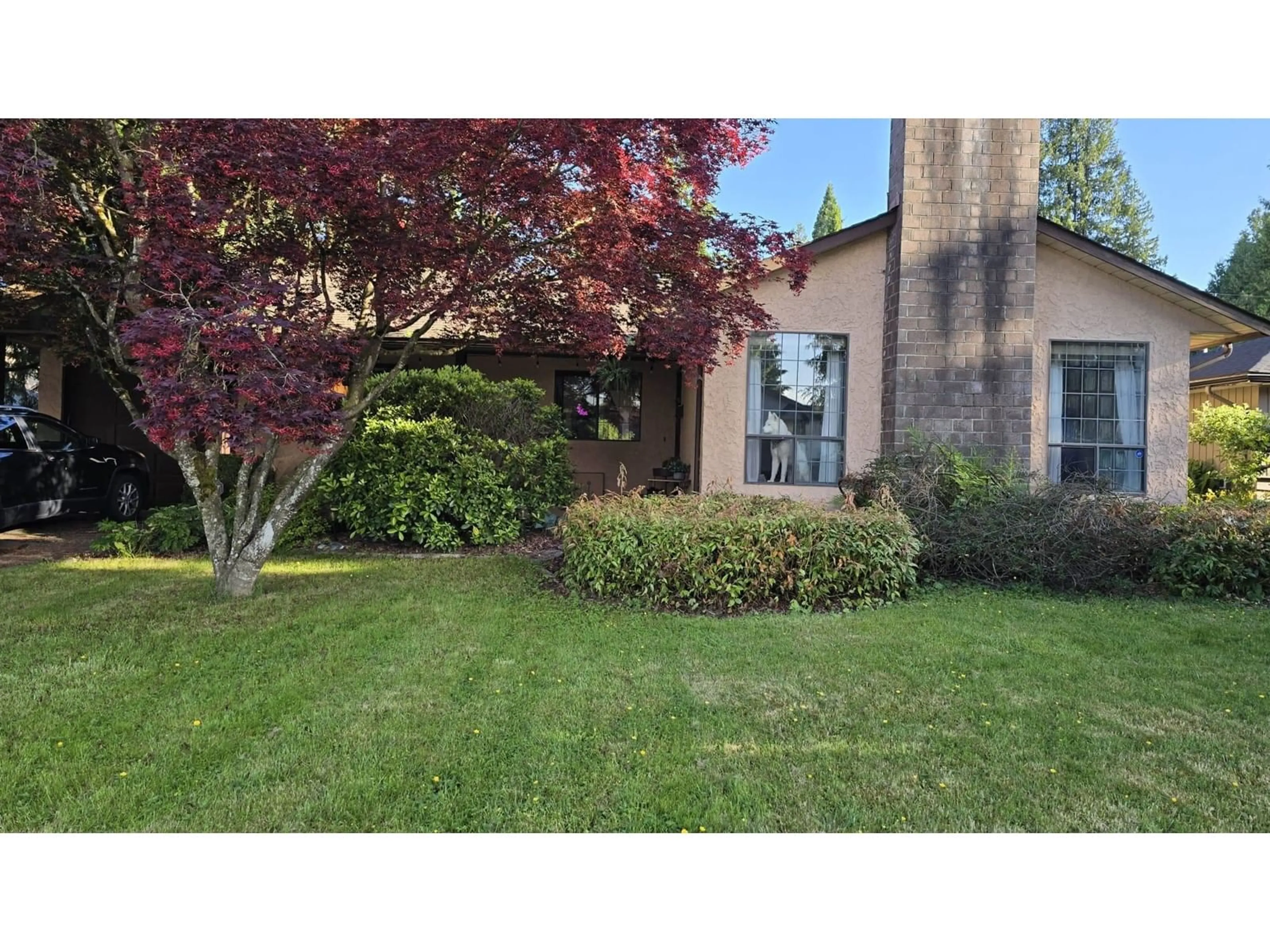 A pic from outside/outdoor area/front of a property/back of a property/a pic from drone, street for 14776 60A, Surrey British Columbia V3S1W1