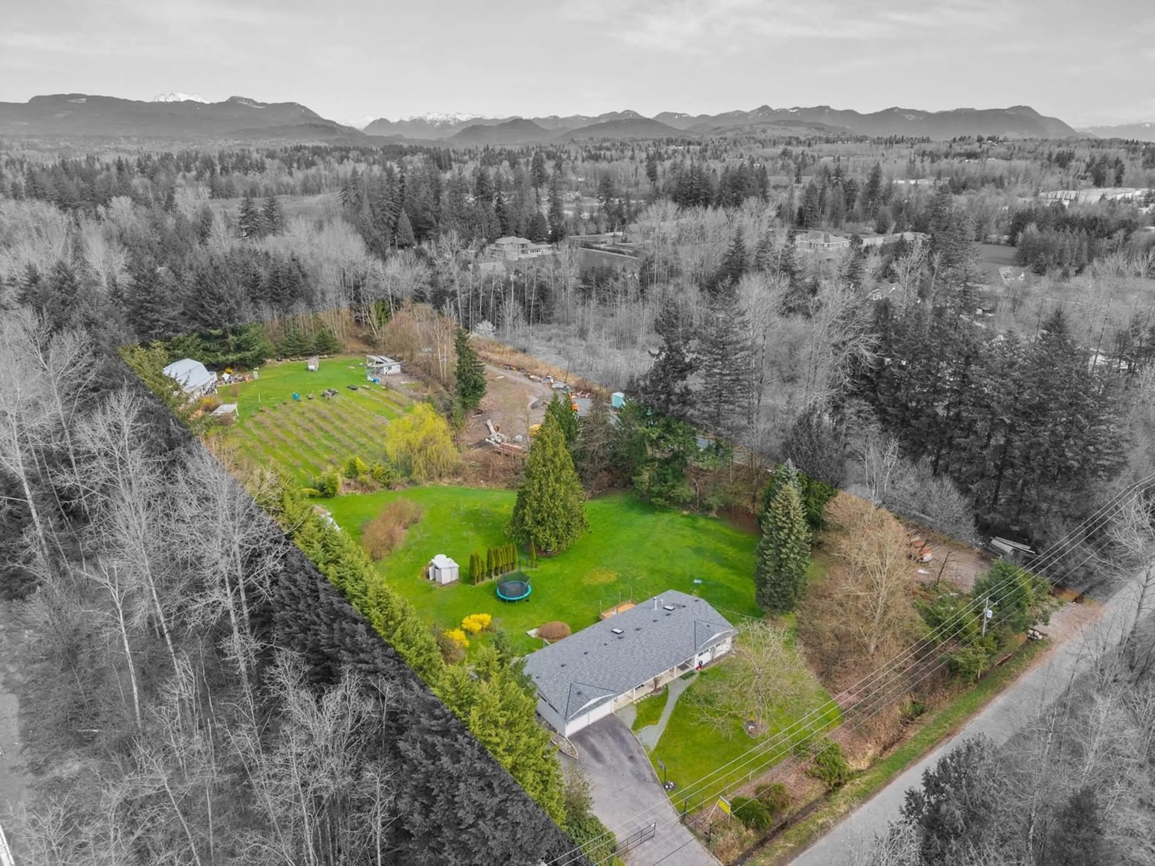 A pic from outside/outdoor area/front of a property/back of a property/a pic from drone, forest/trees view for 26871 58, Langley British Columbia V4W1V6