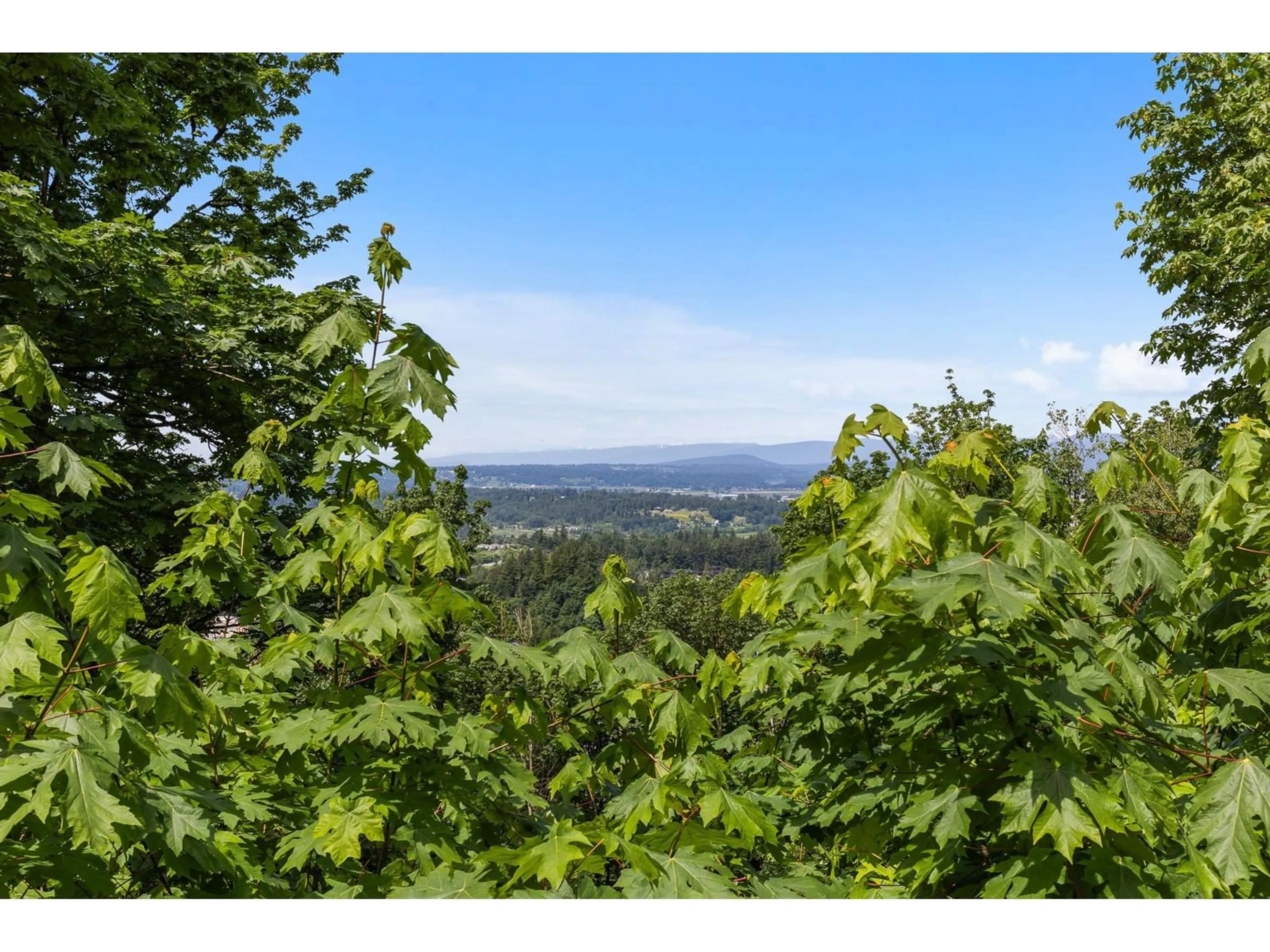 A pic from outside/outdoor area/front of a property/back of a property/a pic from drone, forest/trees view for E - 2904 GLENCOE, Abbotsford British Columbia V3G1H5