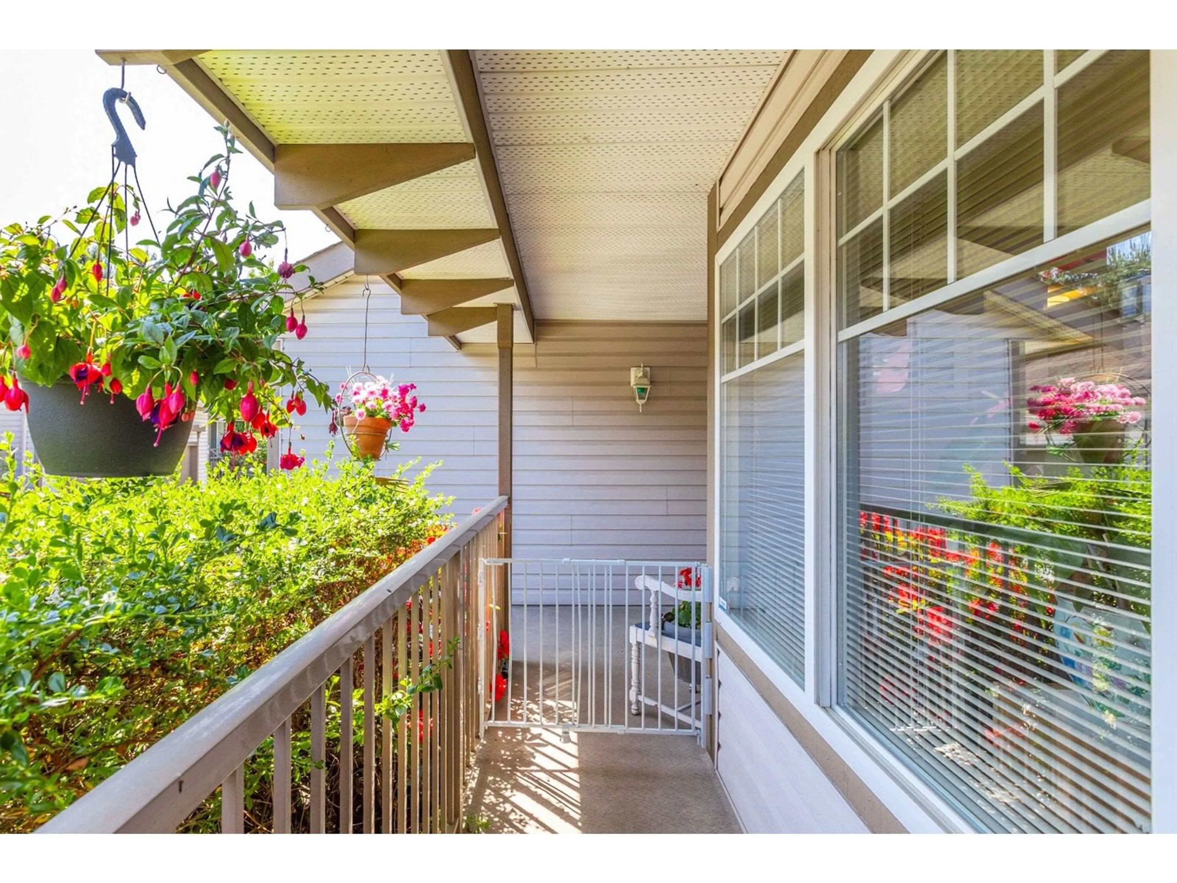 Patio, street for 2 - 20222 96, Langley British Columbia V1M3C3