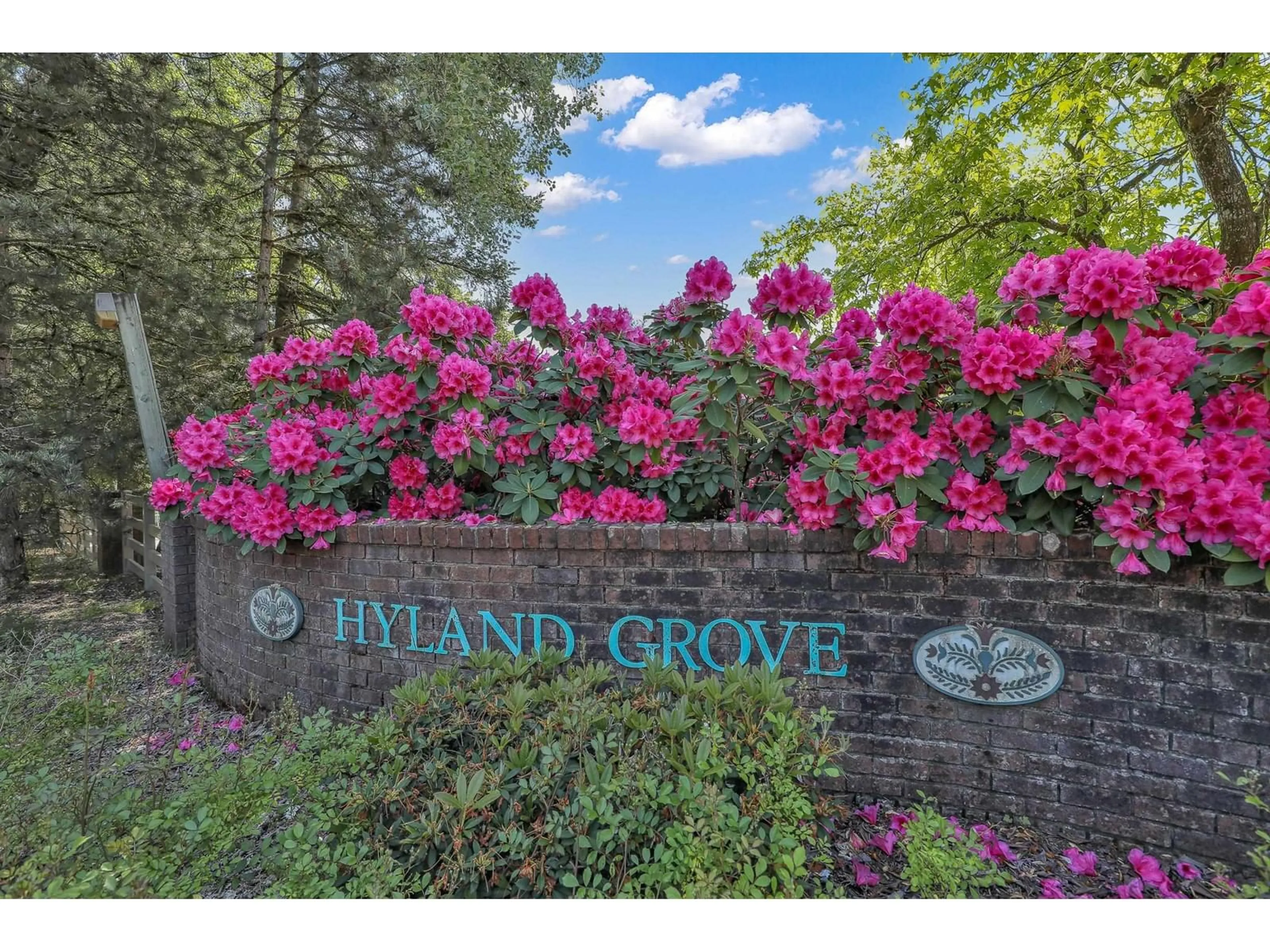 Indoor foyer for 411 - 13900 HYLAND, Surrey British Columbia V3W2C3
