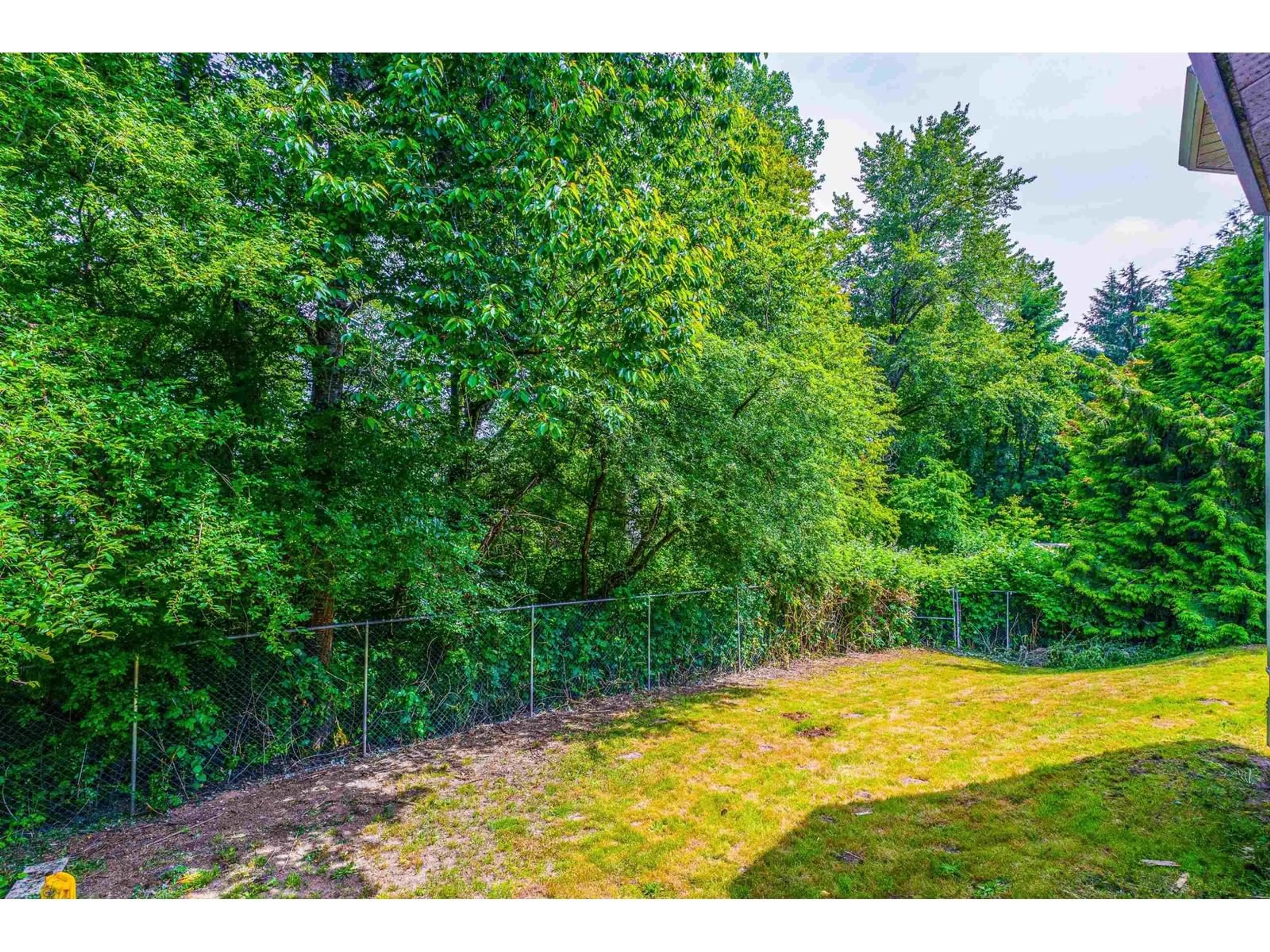 A pic from outside/outdoor area/front of a property/back of a property/a pic from drone, forest/trees view for 27269 32B, Langley British Columbia V4W3H8