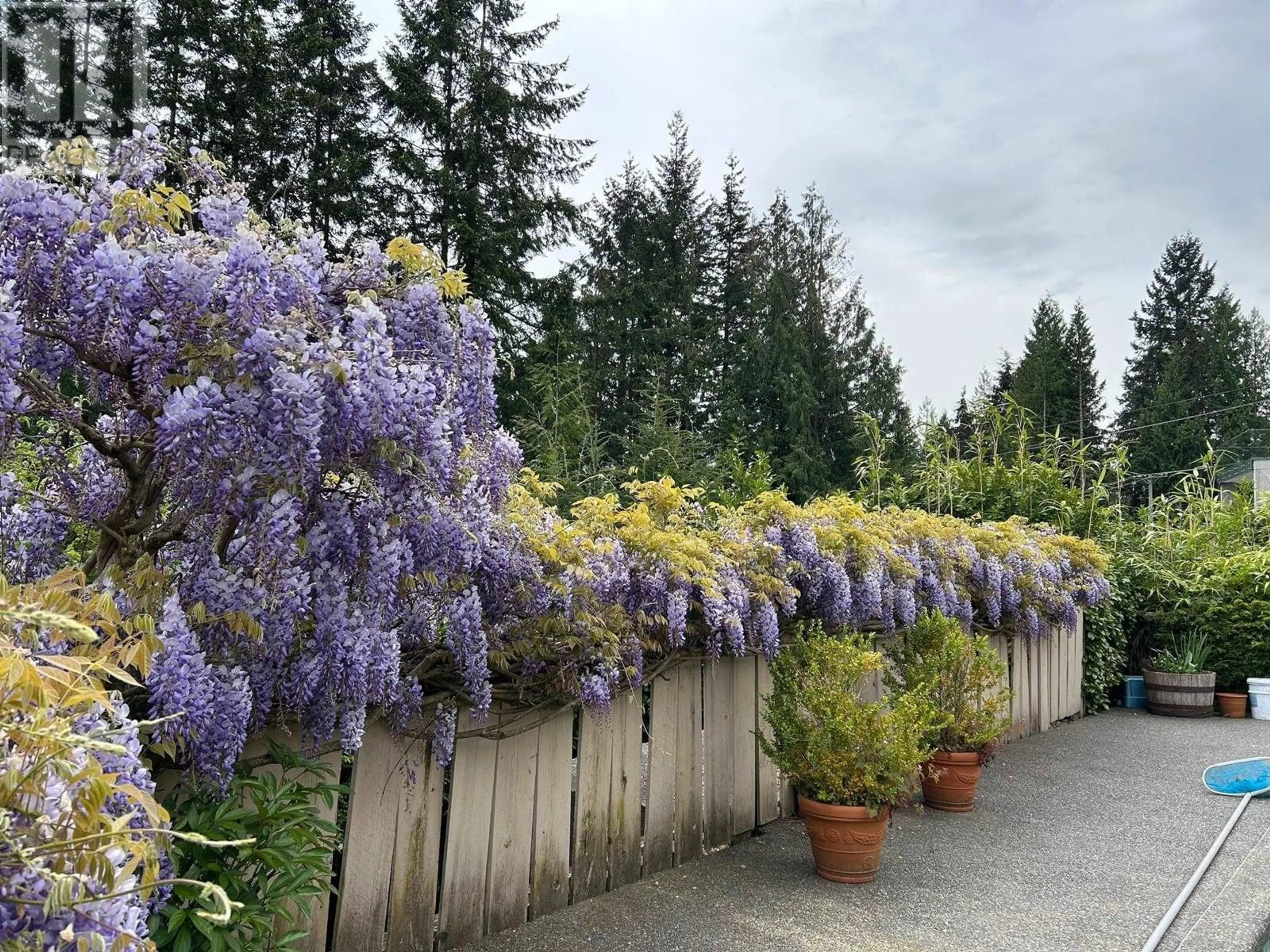 Patio, unknown for 588 ST. ANDREWS PLACE, West Vancouver British Columbia V7S1V8