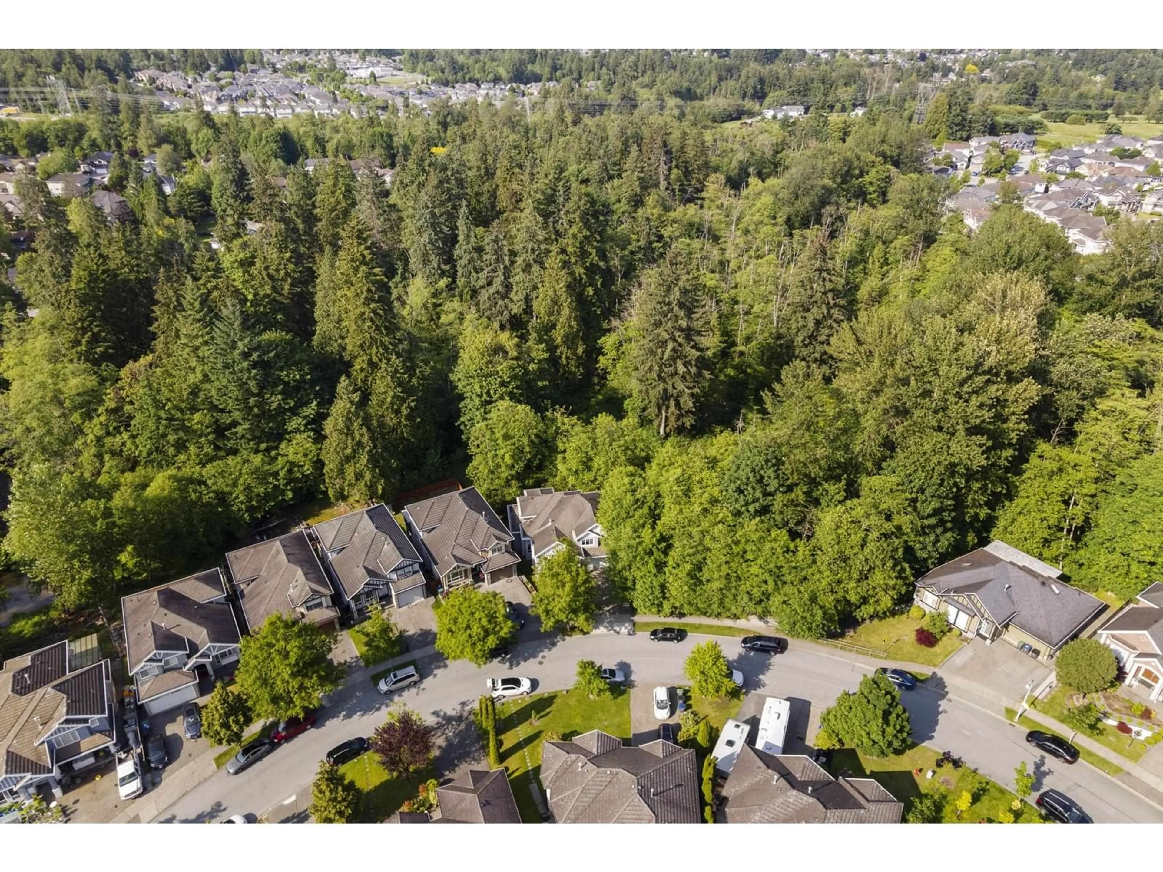 A pic from outside/outdoor area/front of a property/back of a property/a pic from drone, forest/trees view for 14539 78, Surrey British Columbia V3S9C5