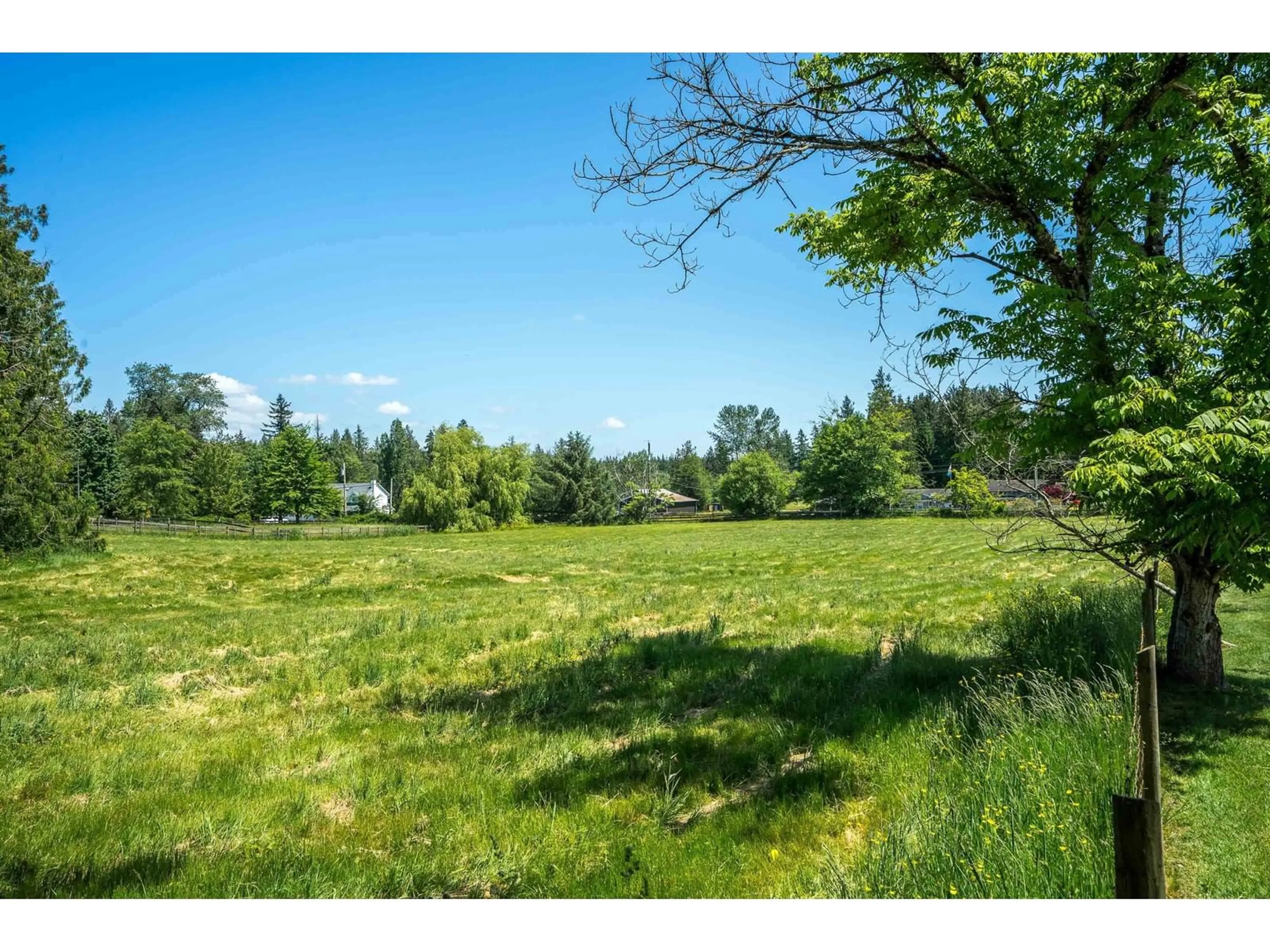 A pic from outside/outdoor area/front of a property/back of a property/a pic from drone, forest/trees view for 333 224, Langley British Columbia V2Z2V6