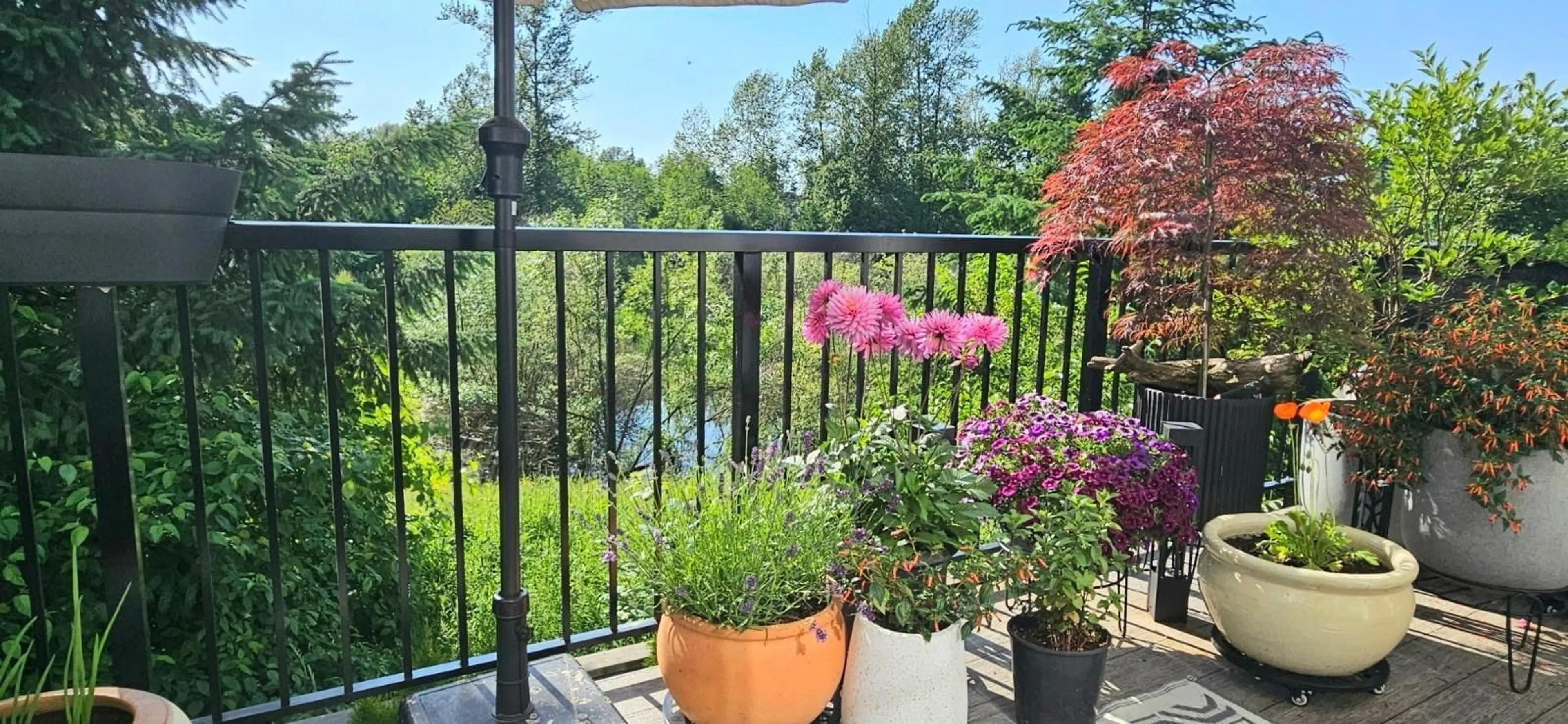 Balcony in the apartment, water/lake/river/ocean view for 8 - 7937 206, Langley British Columbia V2Y1X6