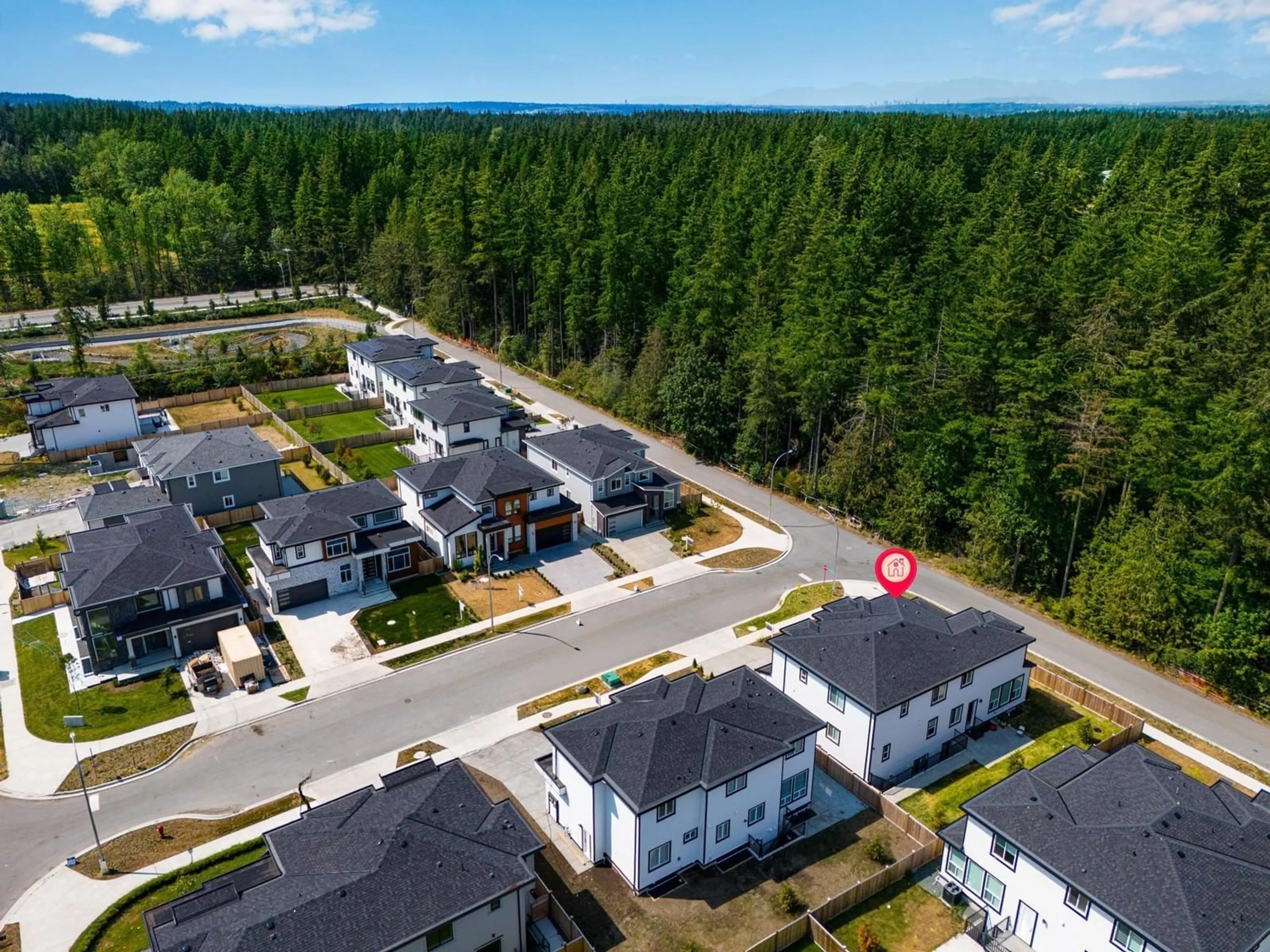 A pic from outside/outdoor area/front of a property/back of a property/a pic from drone, street for 2731 201, Langley British Columbia V2Z0B6