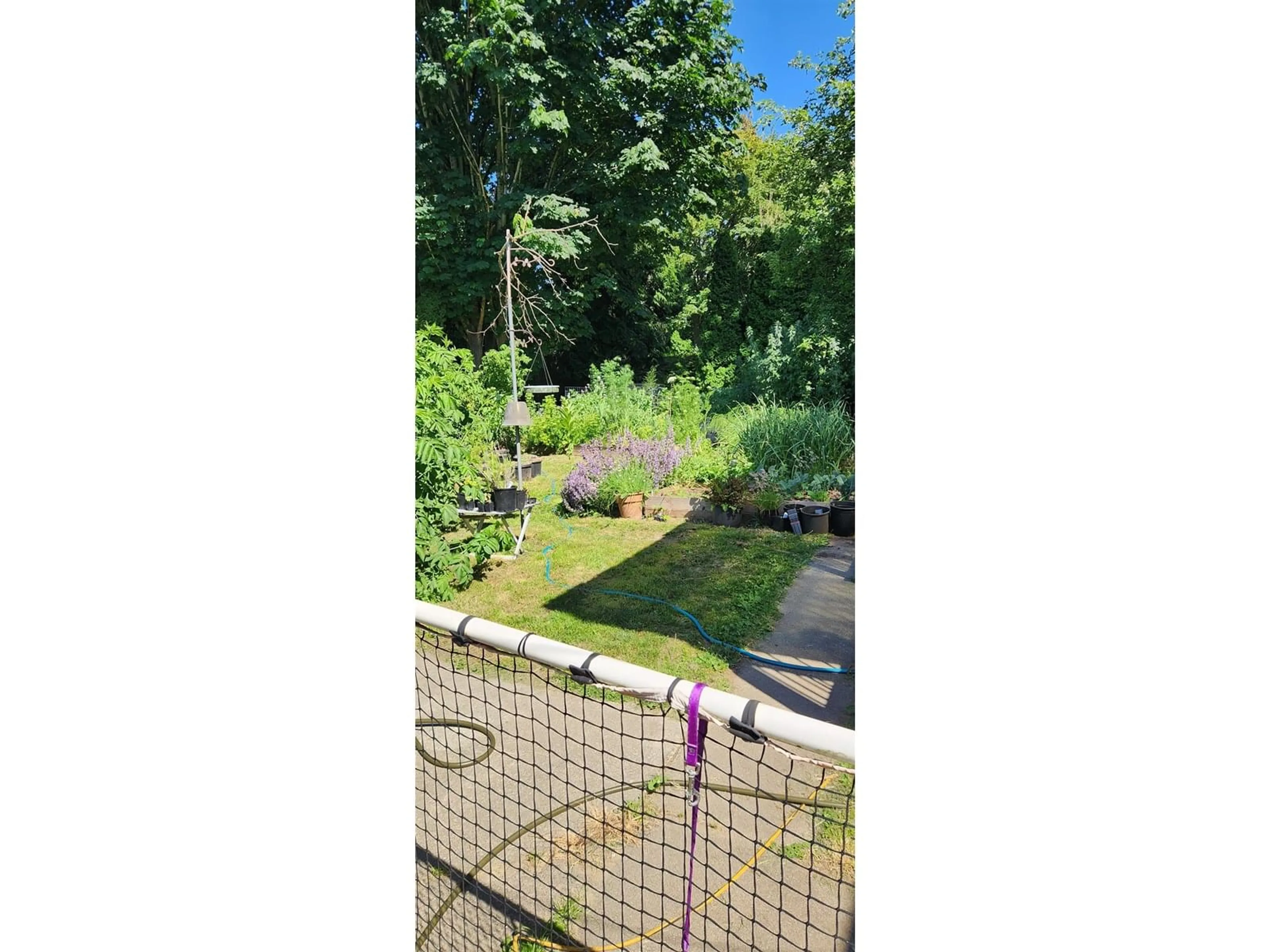 A pic from outside/outdoor area/front of a property/back of a property/a pic from drone, unknown for 8631 BROOKE, Delta British Columbia V4C4G2