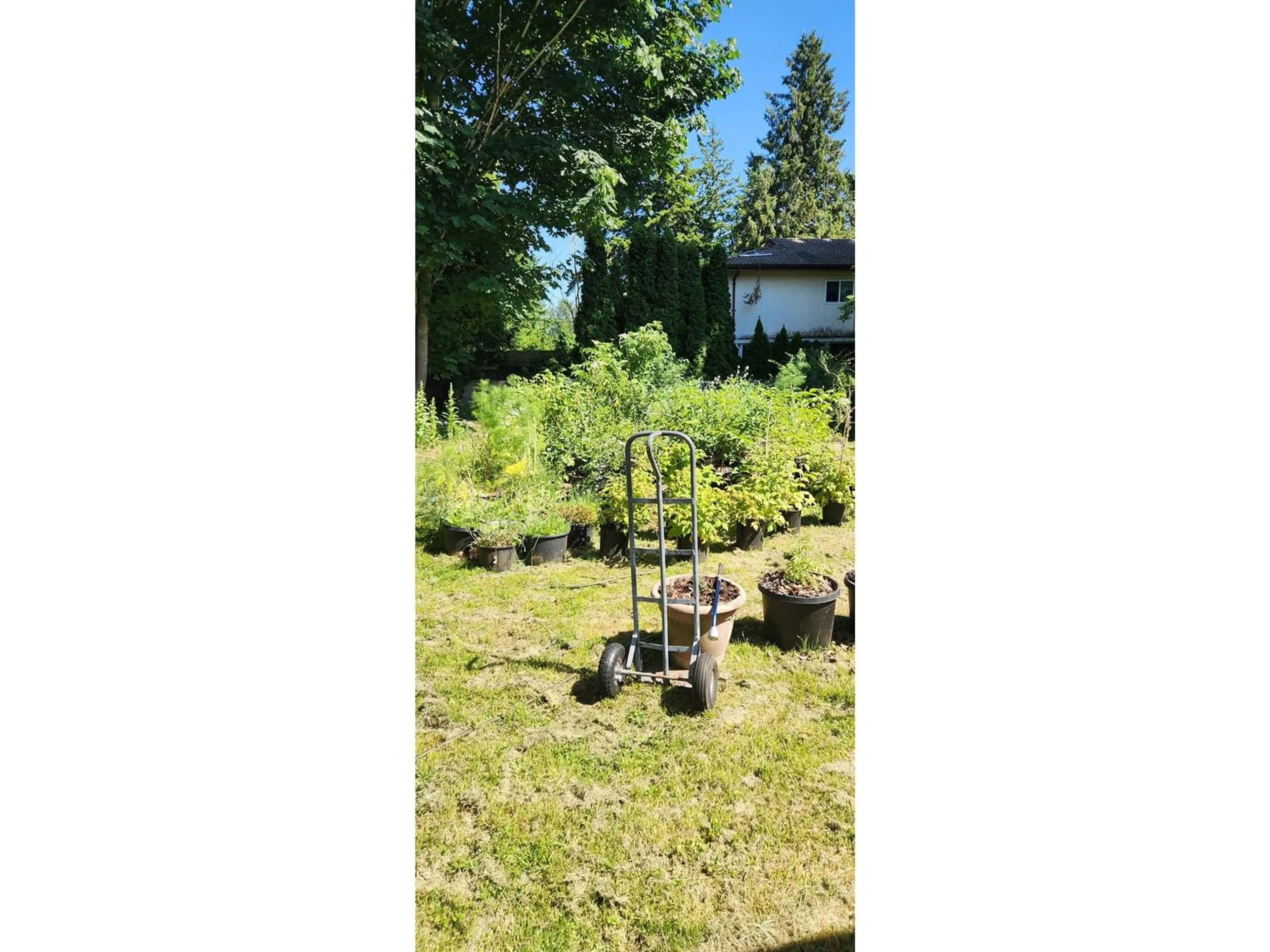 A pic from outside/outdoor area/front of a property/back of a property/a pic from drone, forest/trees view for 8631 BROOKE, Delta British Columbia V4C4G2