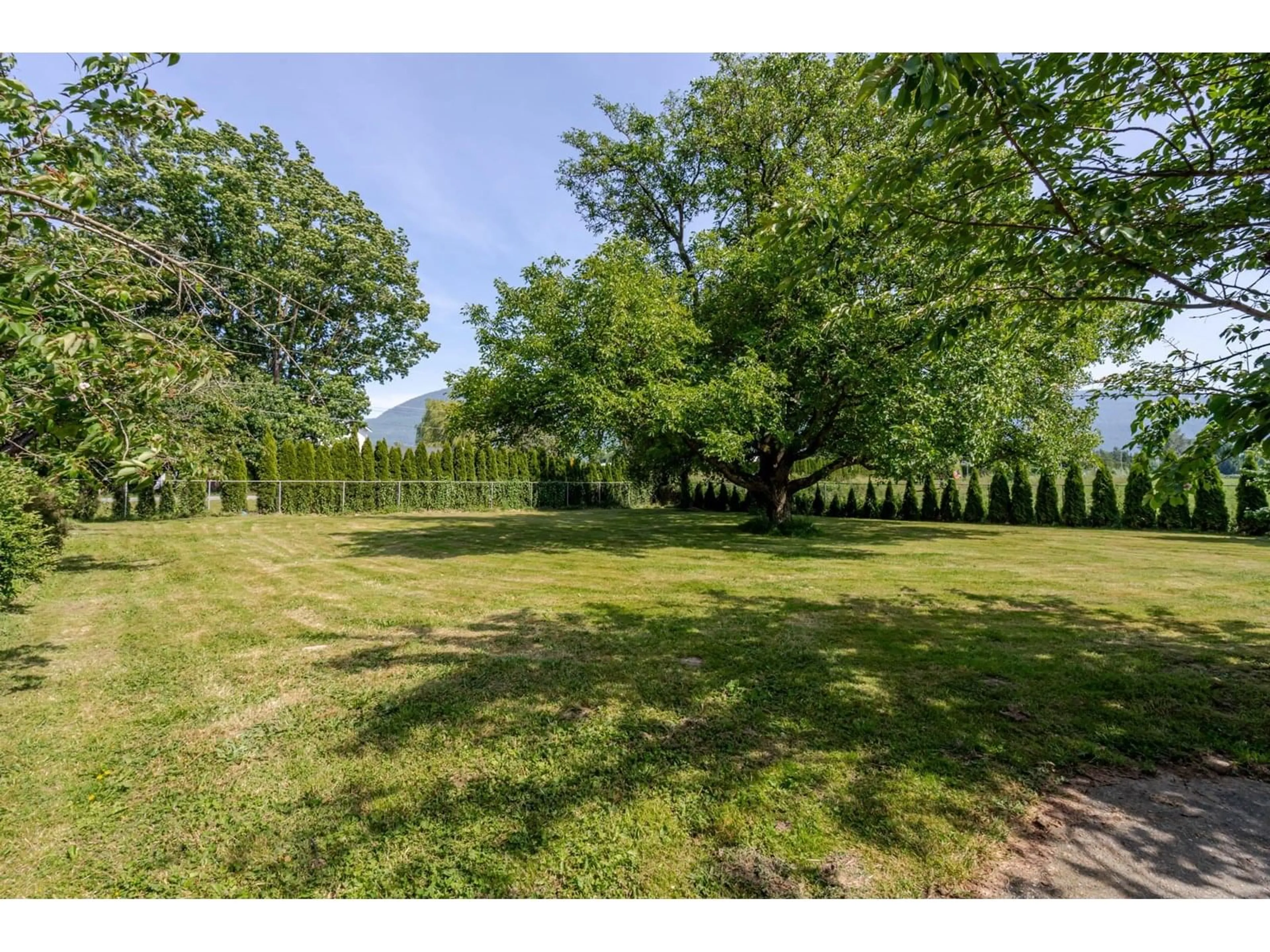 A pic from outside/outdoor area/front of a property/back of a property/a pic from drone, forest/trees view for 5007 BOUNDARY, Abbotsford British Columbia V3G2N4