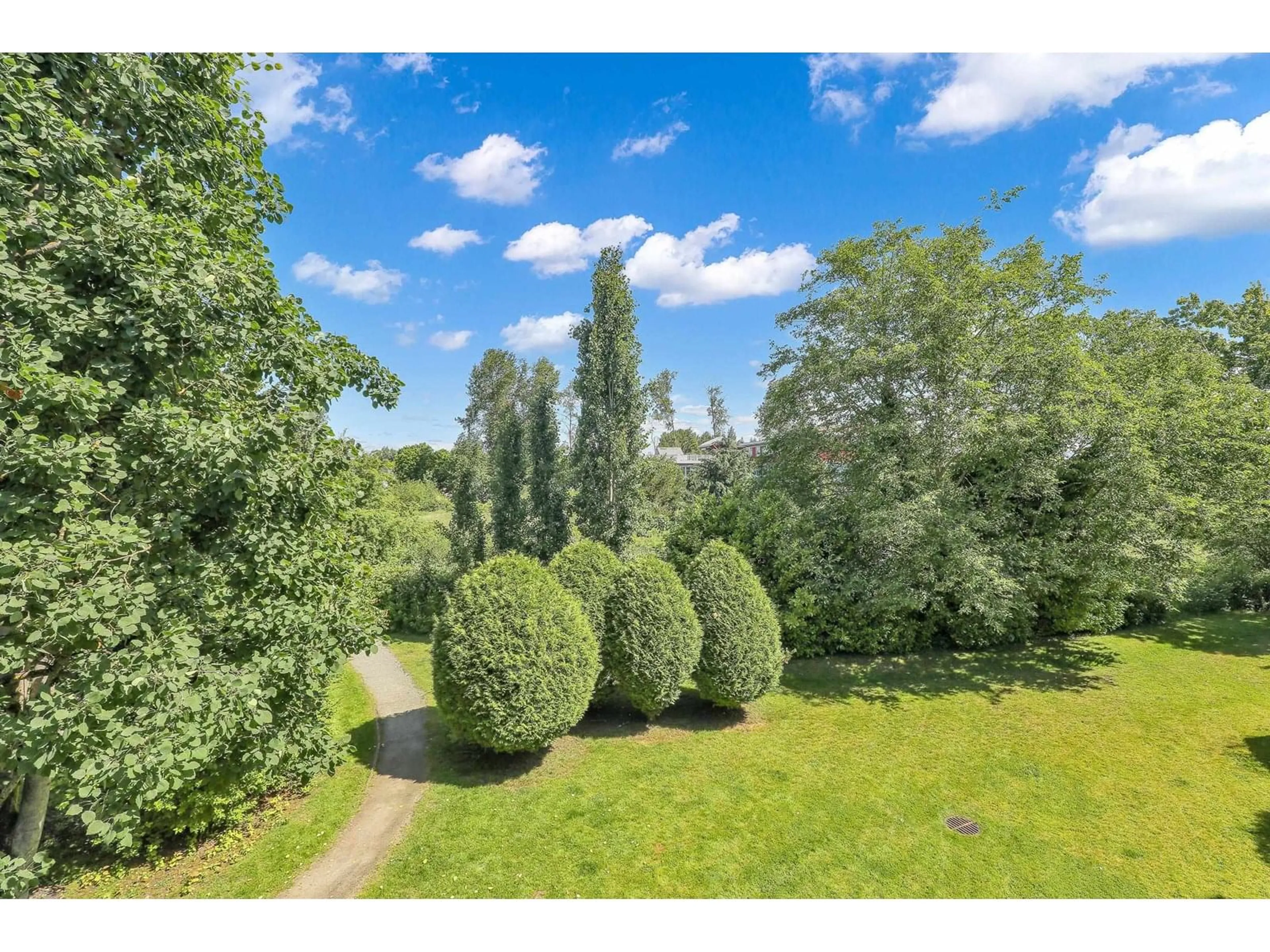 A pic from outside/outdoor area/front of a property/back of a property/a pic from drone, forest/trees view for 206 - 20897 57, Langley British Columbia V3A8L5